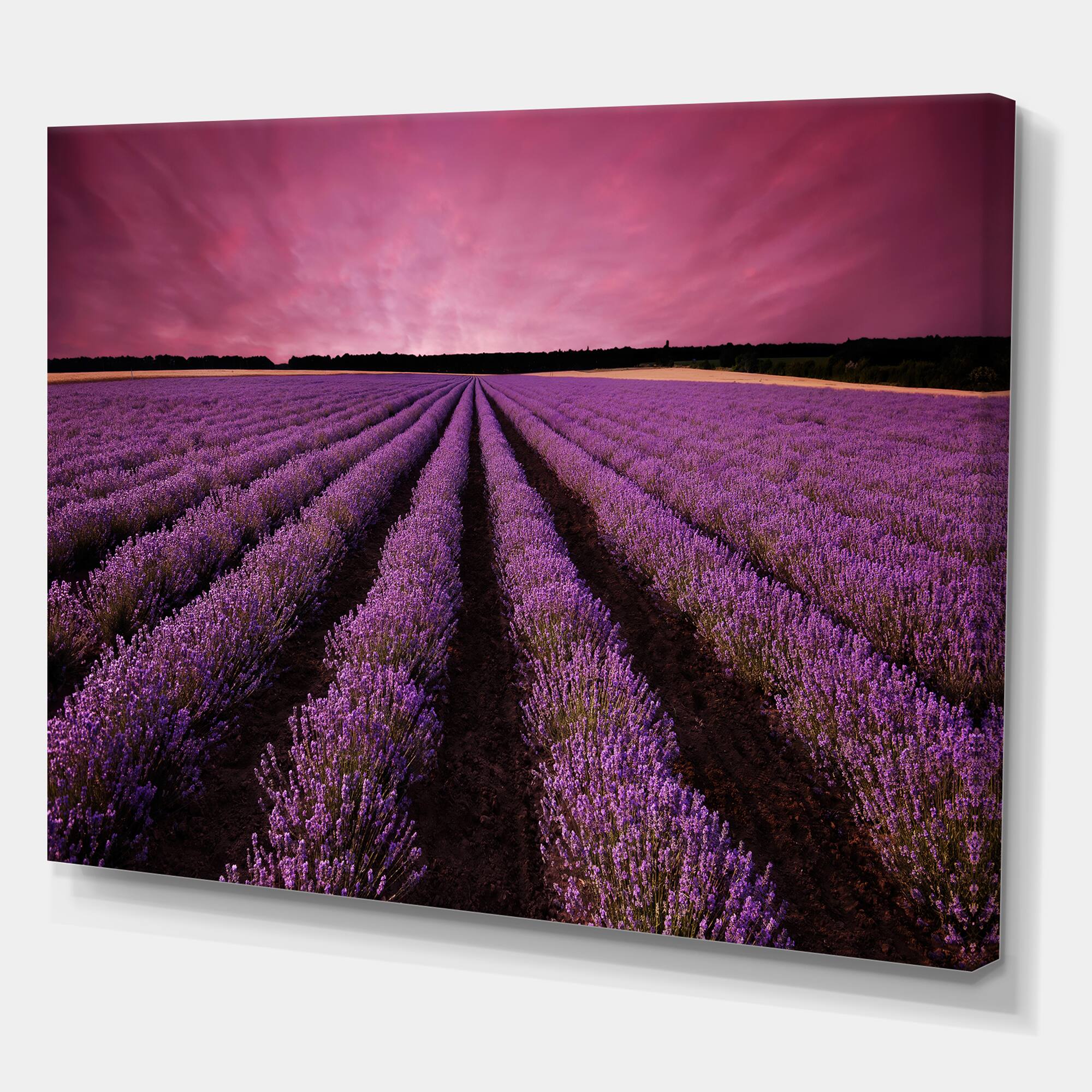 Designart - Sunrise & Dramatic Clouds Over Lavender Field XI - Farmhouse Canvas Wall Art Print