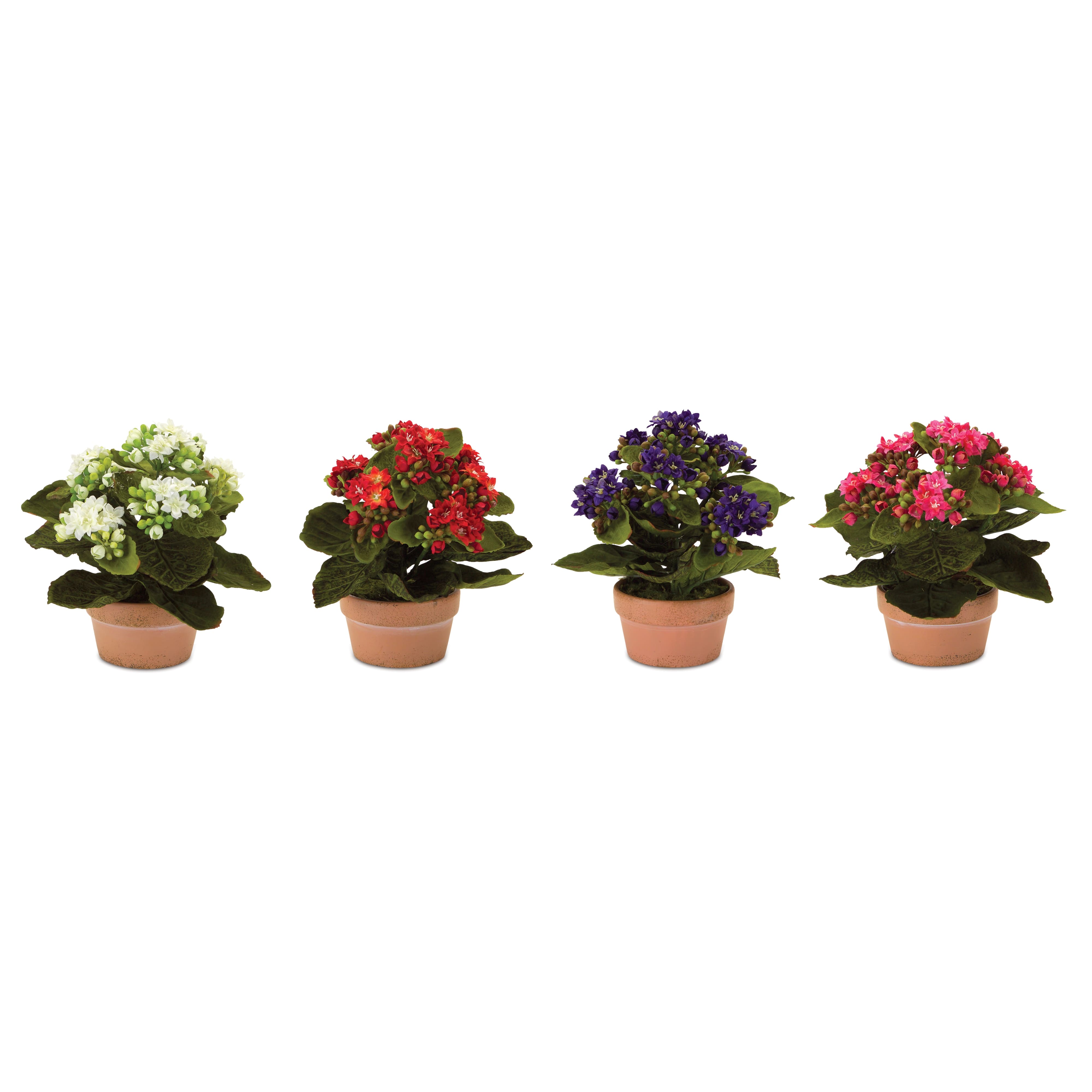 Faux Potted Kalanchoe Plant Set