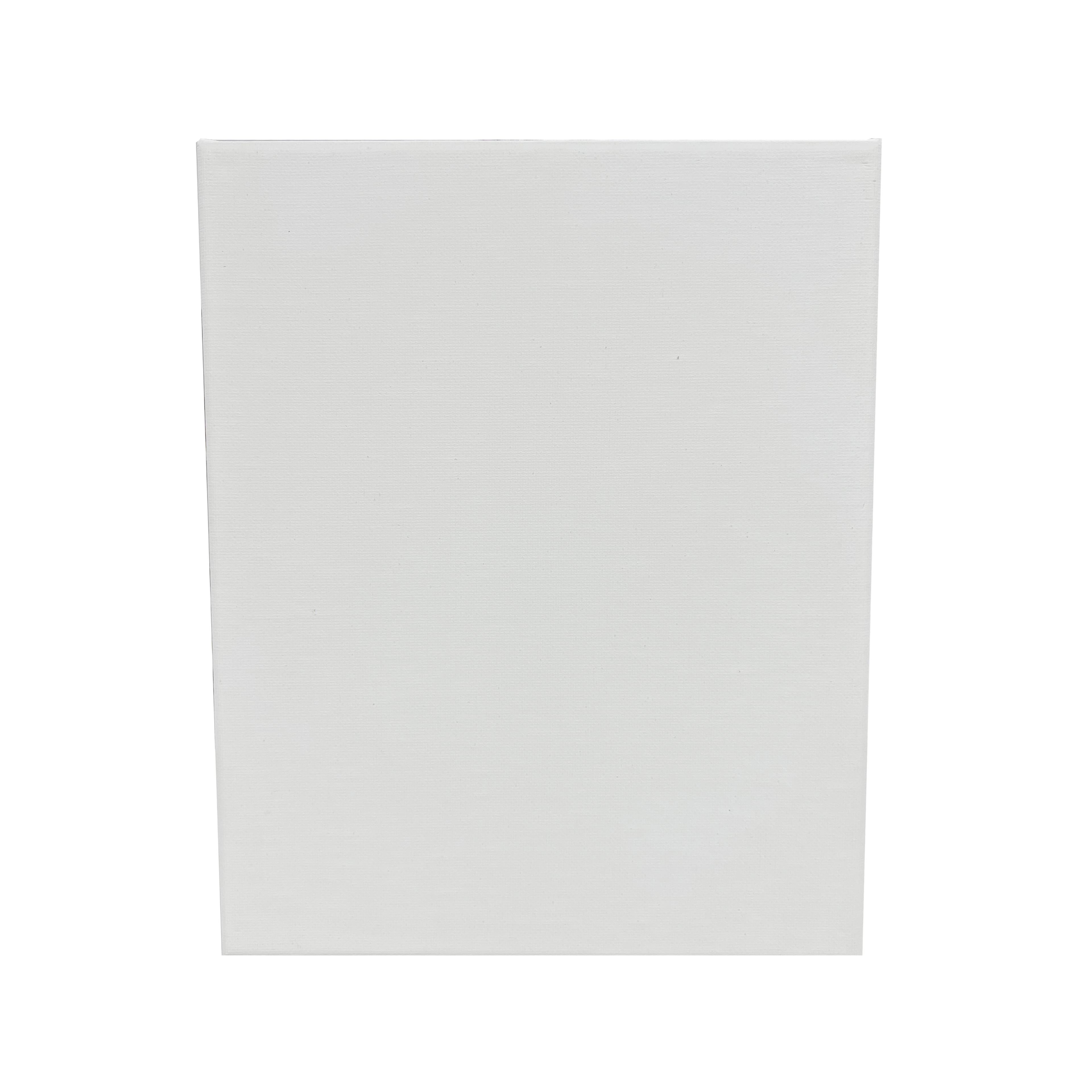 2 Pack Value Canvas by Artist's Loft®