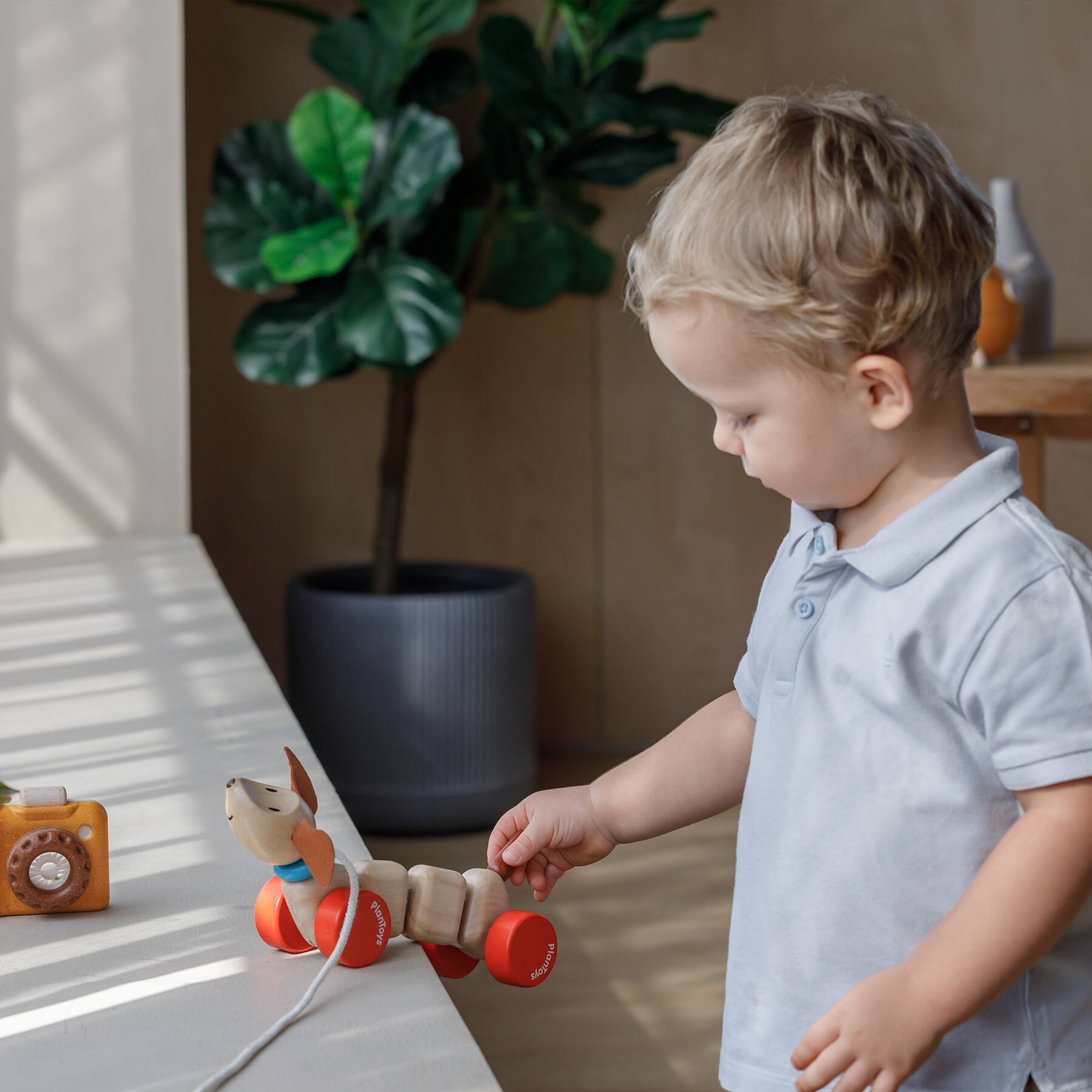 PlanToys Happy Puppy Wooden Pull Toy