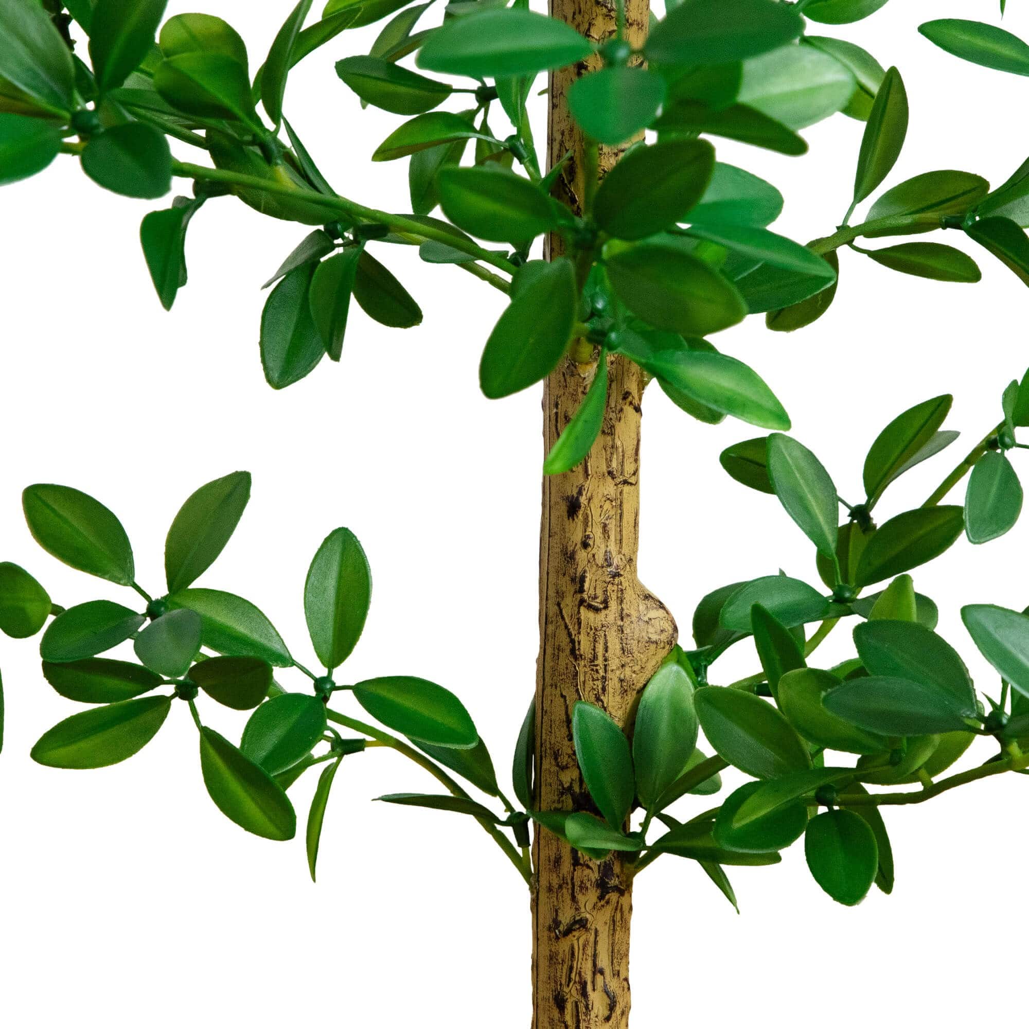 5ft. Artificial Shady Lady Black Olive Tree