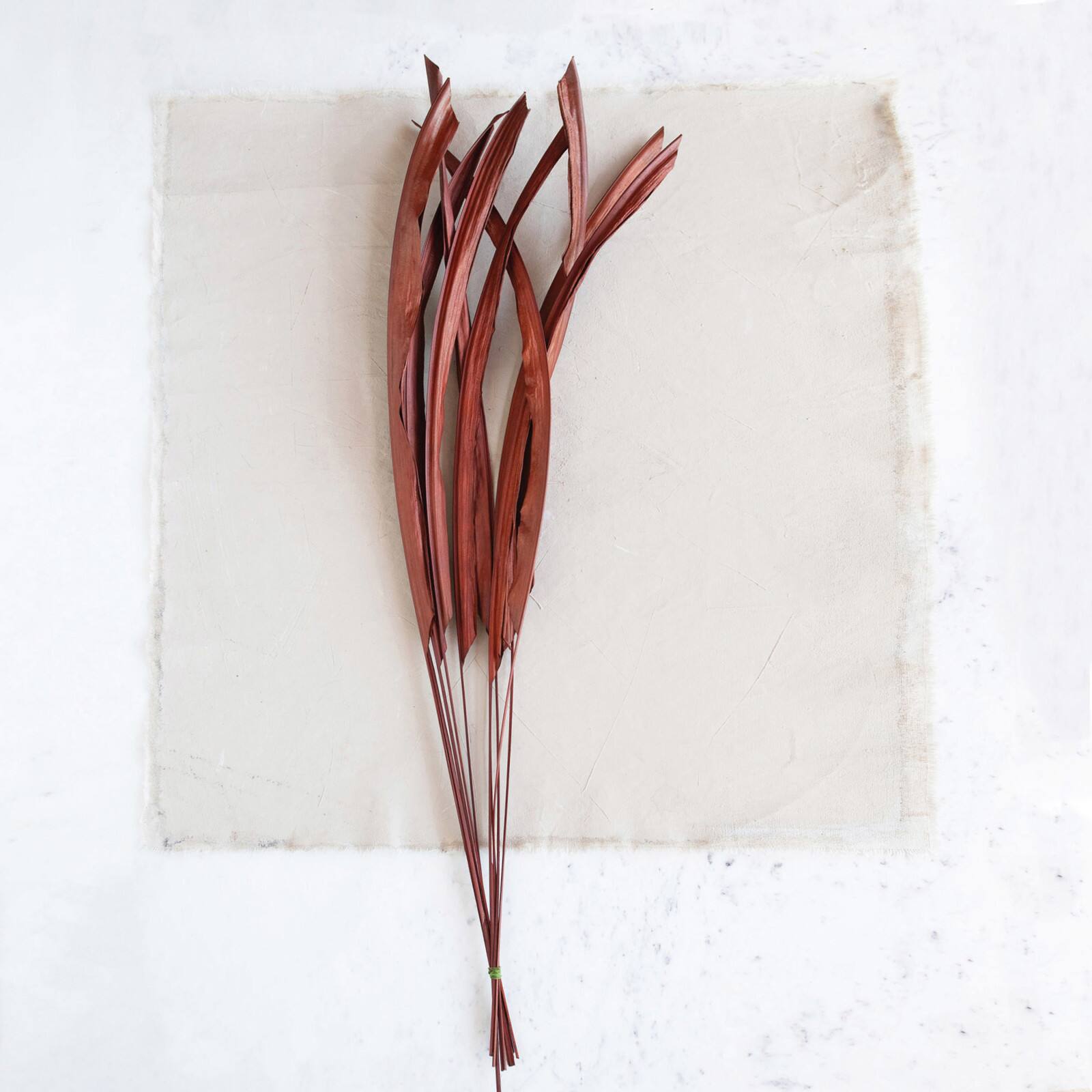 Hello Honey® 36" Brown Buri Palm Leaf Pick
