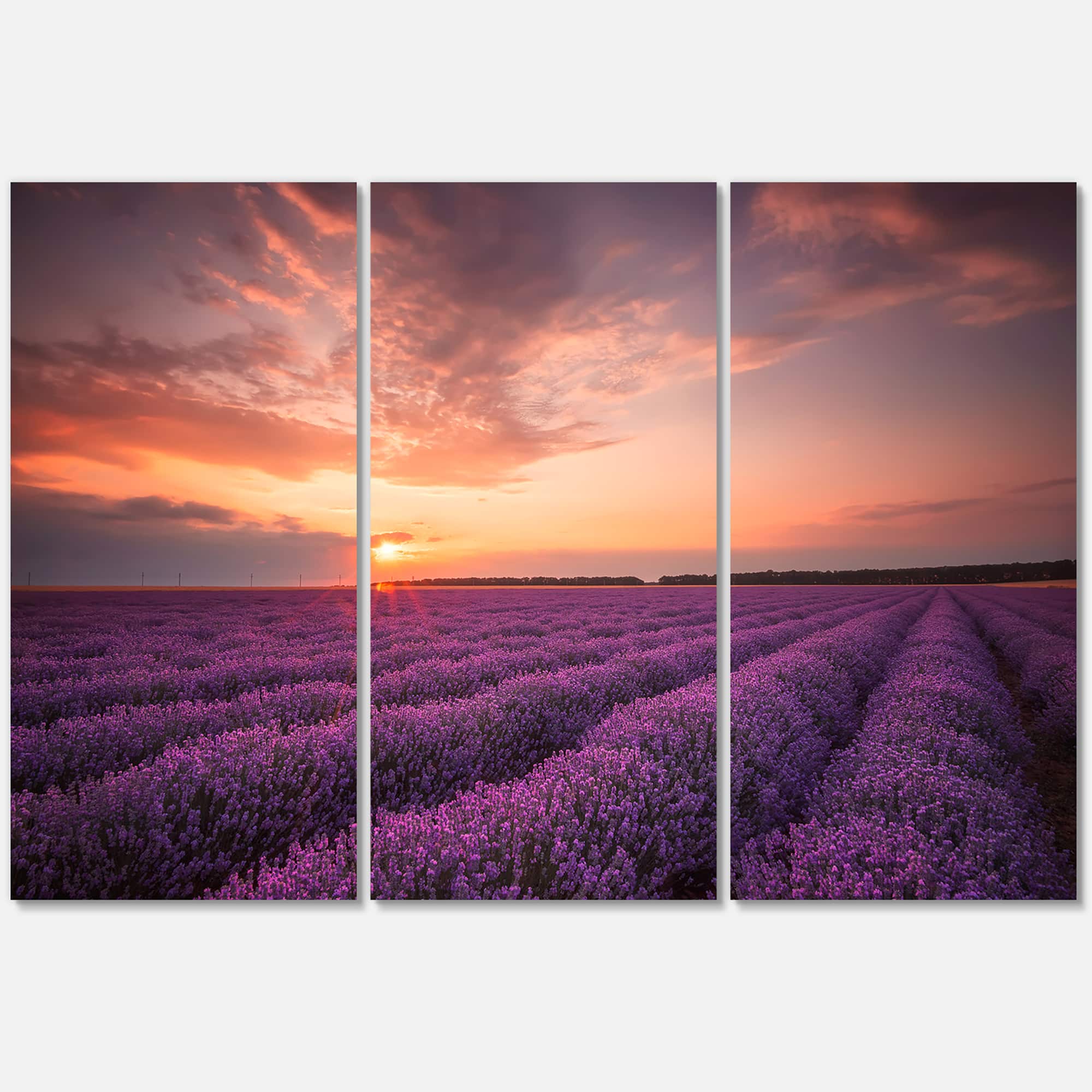 Designart - Sunrise & Dramatic Clouds Over Lavender Field XII - Farmhouse Canvas Wall Art Print