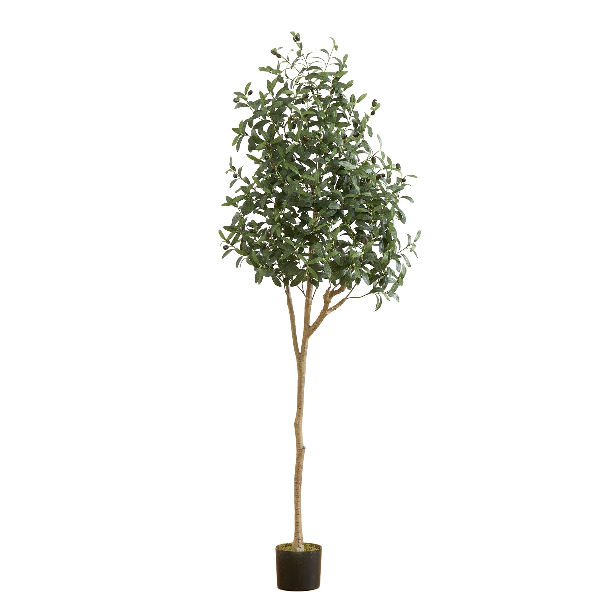 6ft. Potted Artificial Olive Tree