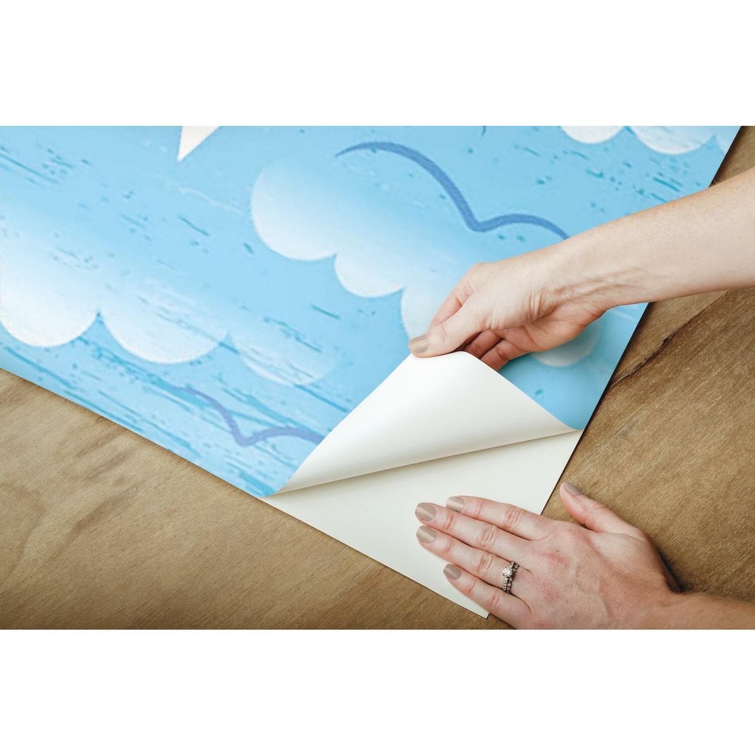 RoomMates World Map Mural Peel & Stick Wallpaper