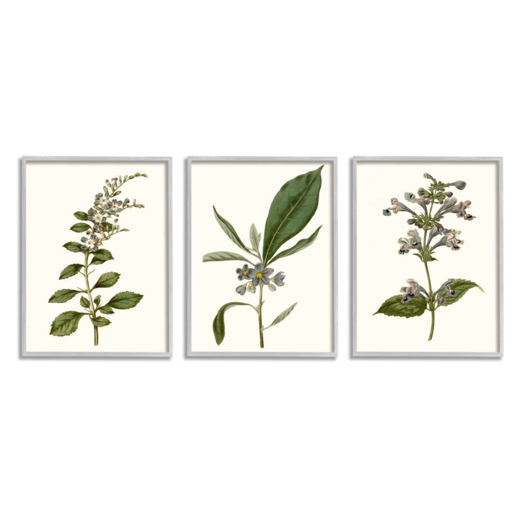 Stupell Industries Minimal Blue Botanical Study Over Neutral Beige in Frame Wall Art