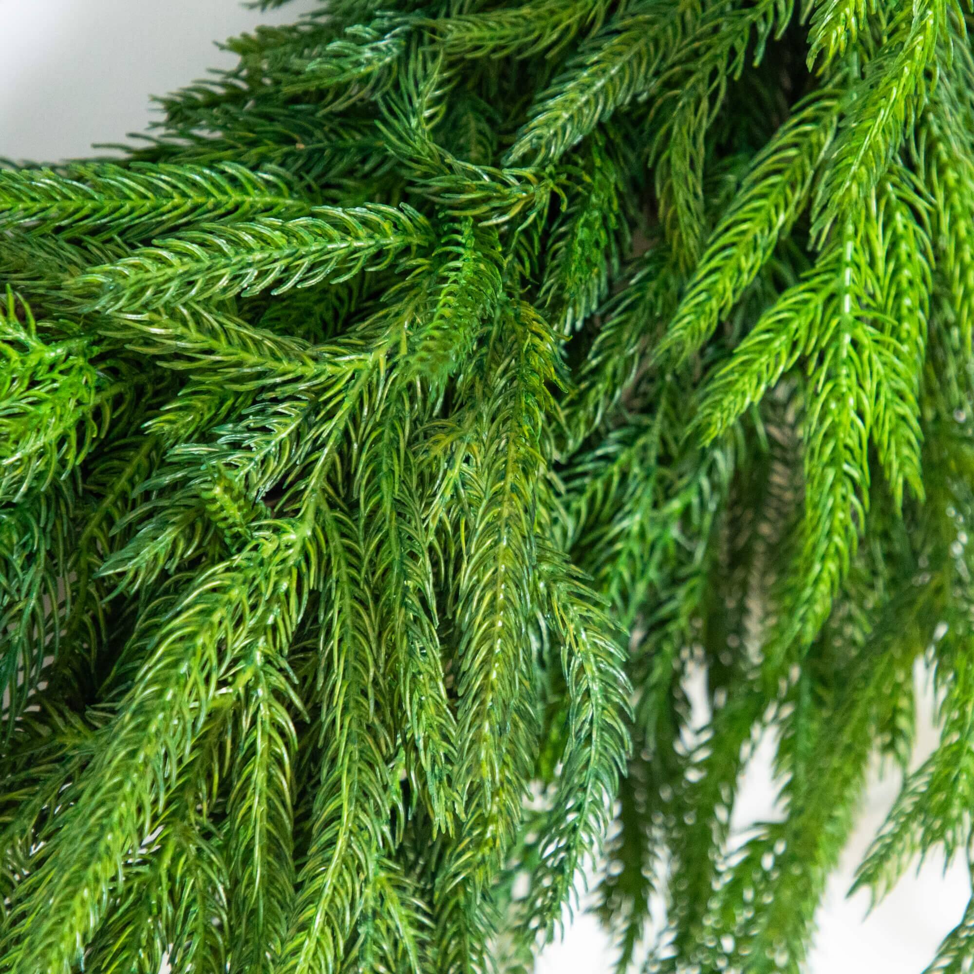 24in. Artificial Real Touch Norfolk Island Pine Wreath with Natural Look