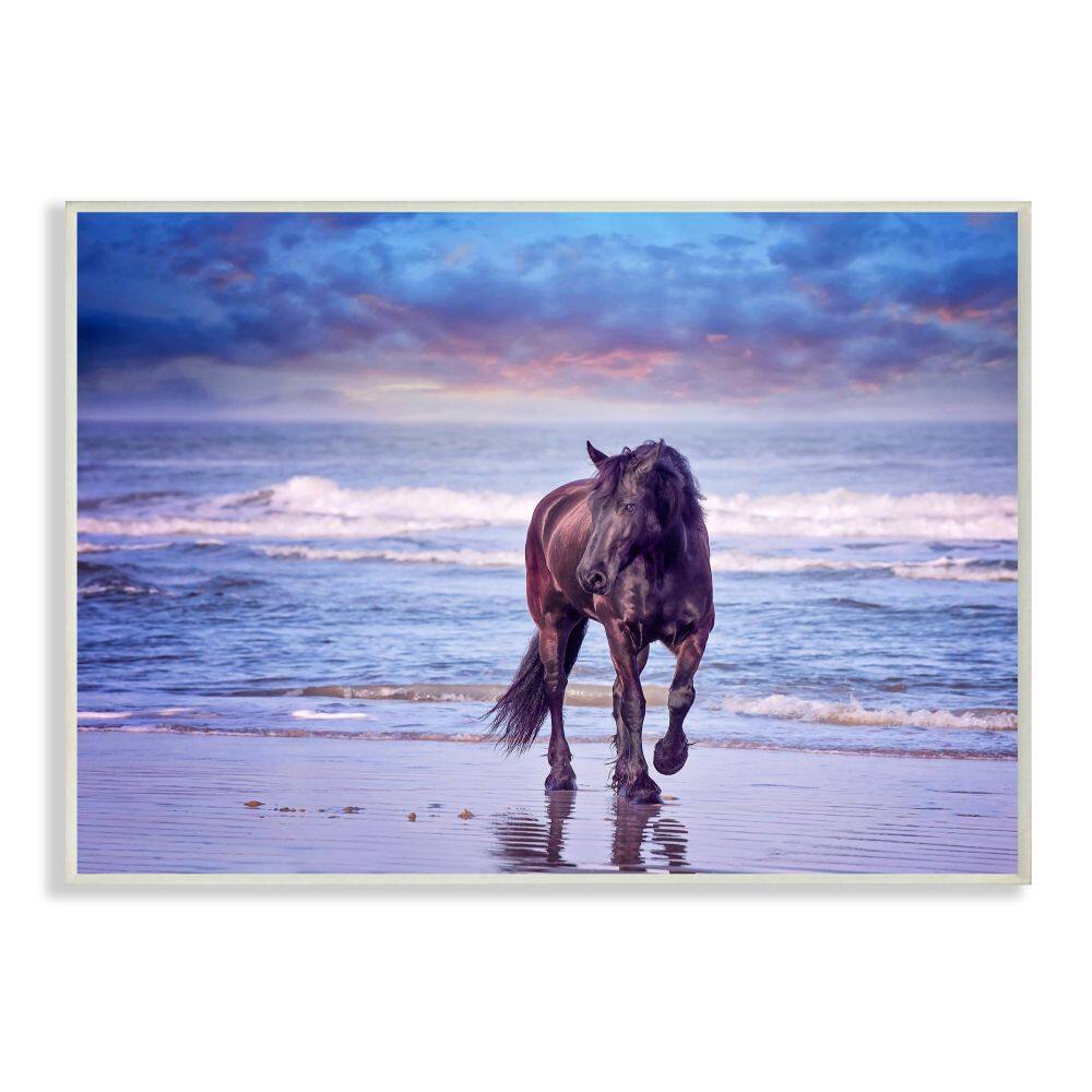 Stupell Industries Wild Horse on Beach Blue Sunset Wall Plaque
