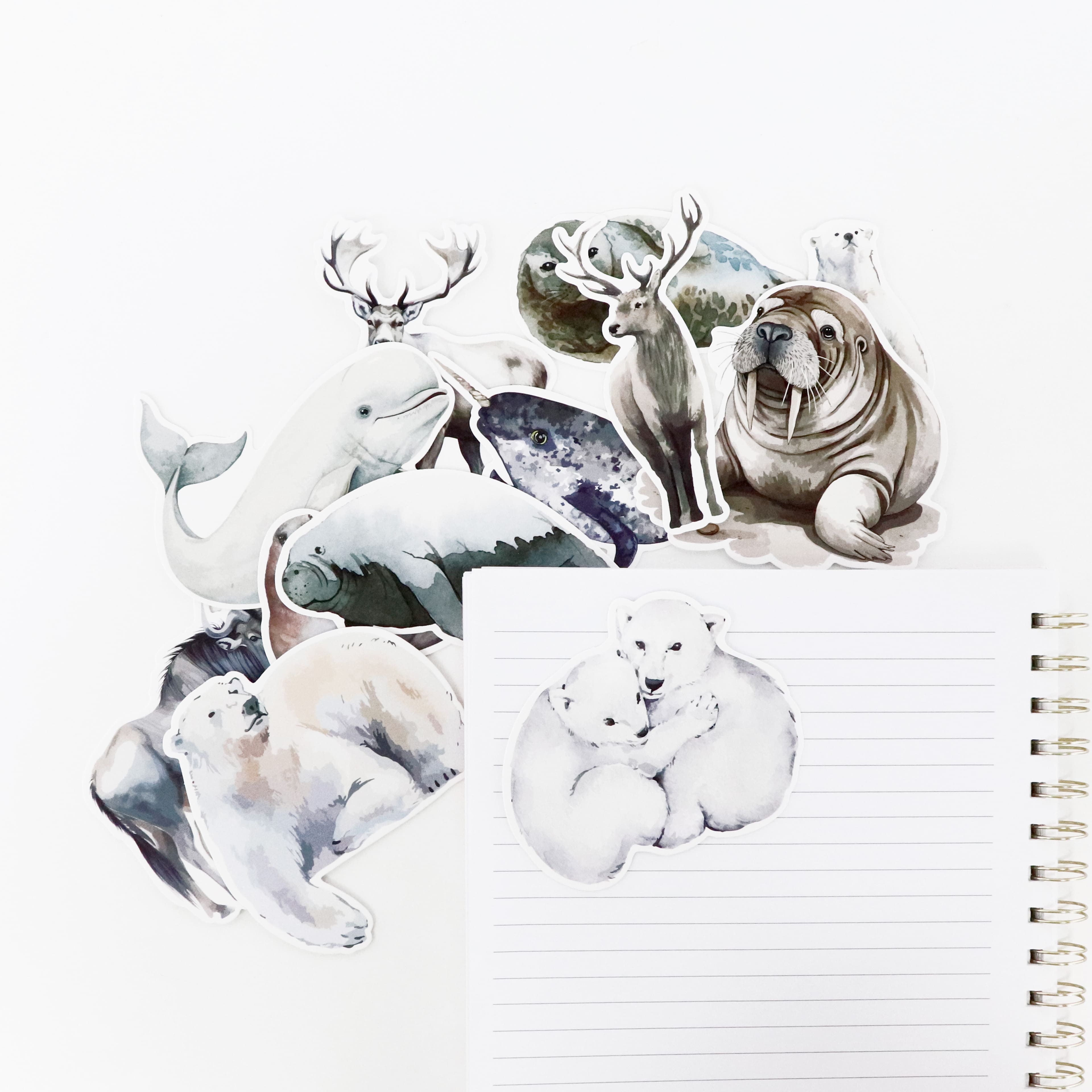 Arctic Animal Die Cut Stickers by Recollections™