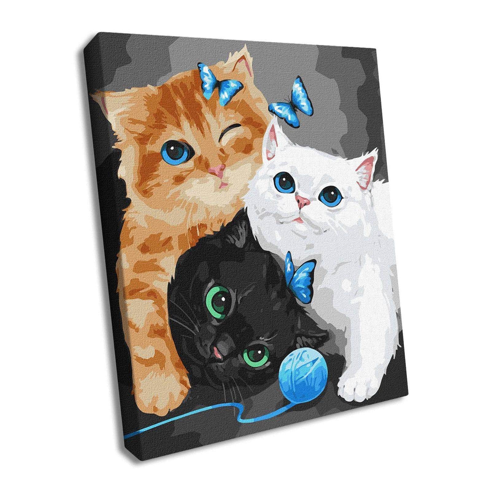 Ideyka Fluffy Painting by Numbers Kit