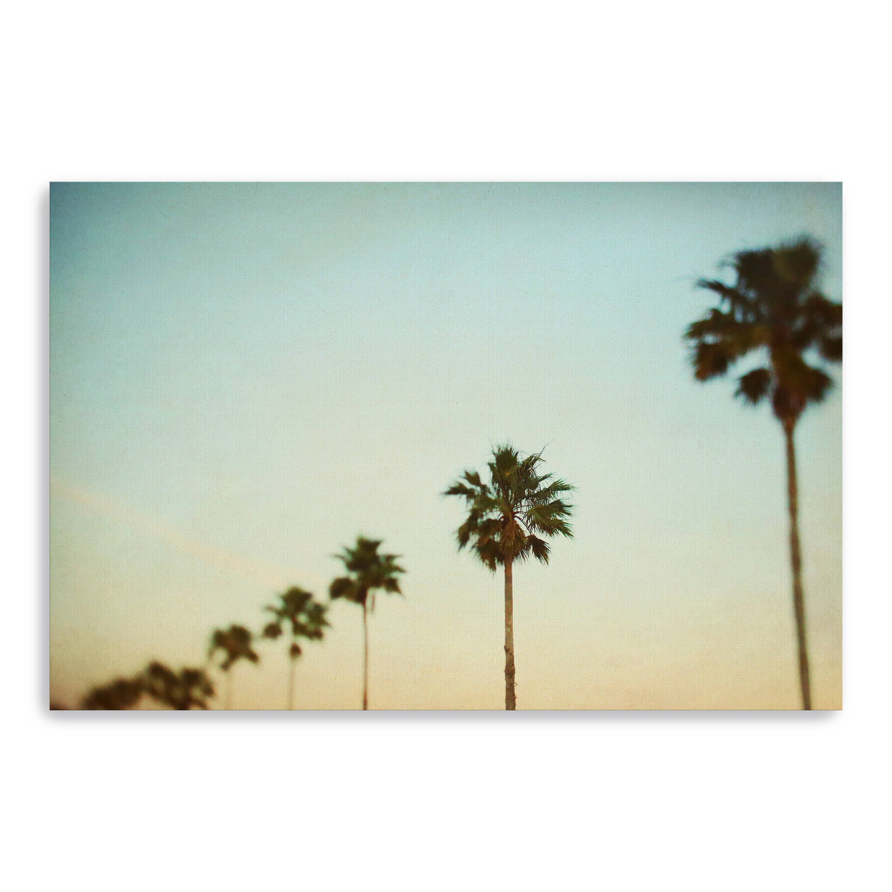 Lumaprints The Palms Canvas Giclée