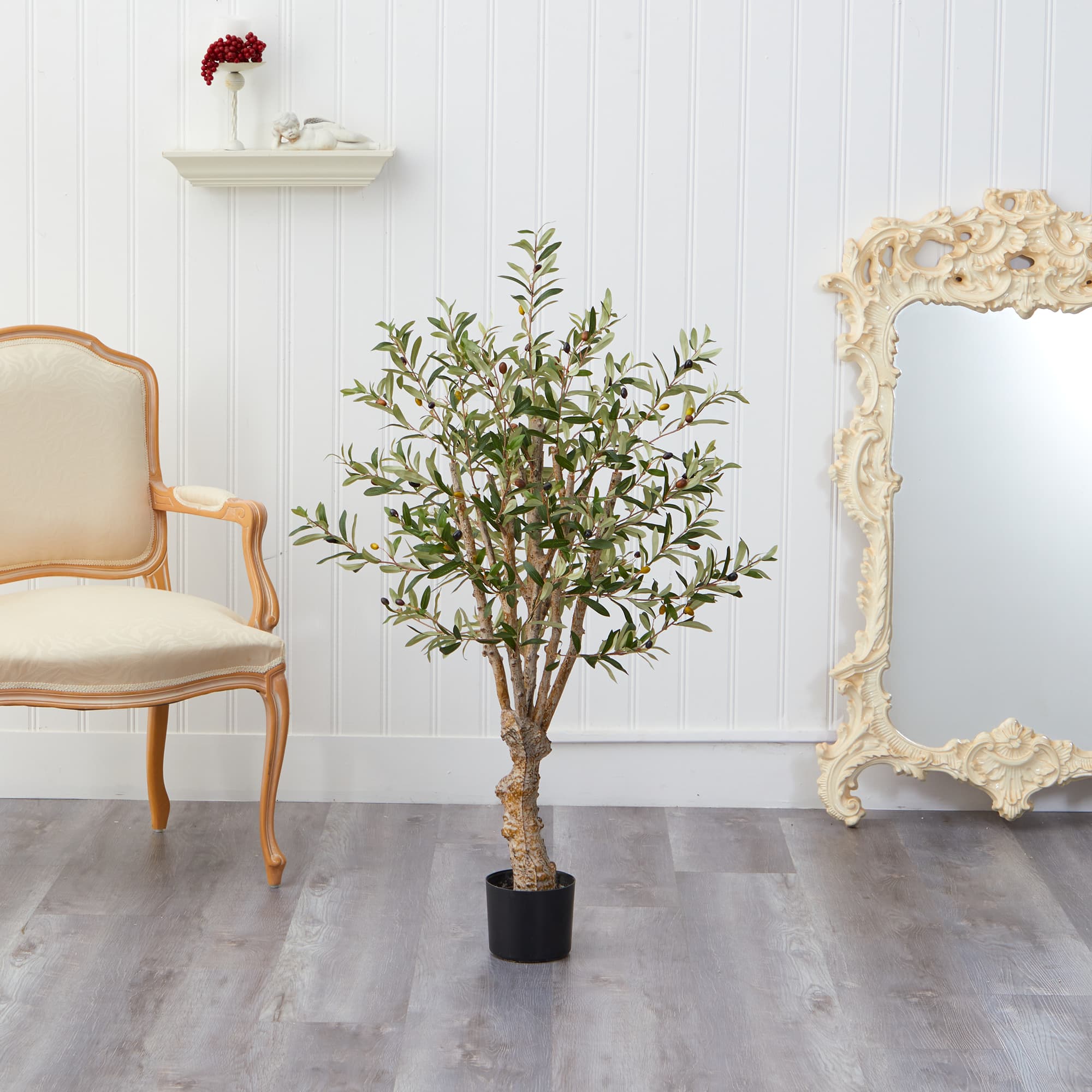 3.5ft. Potted Olive Tree
