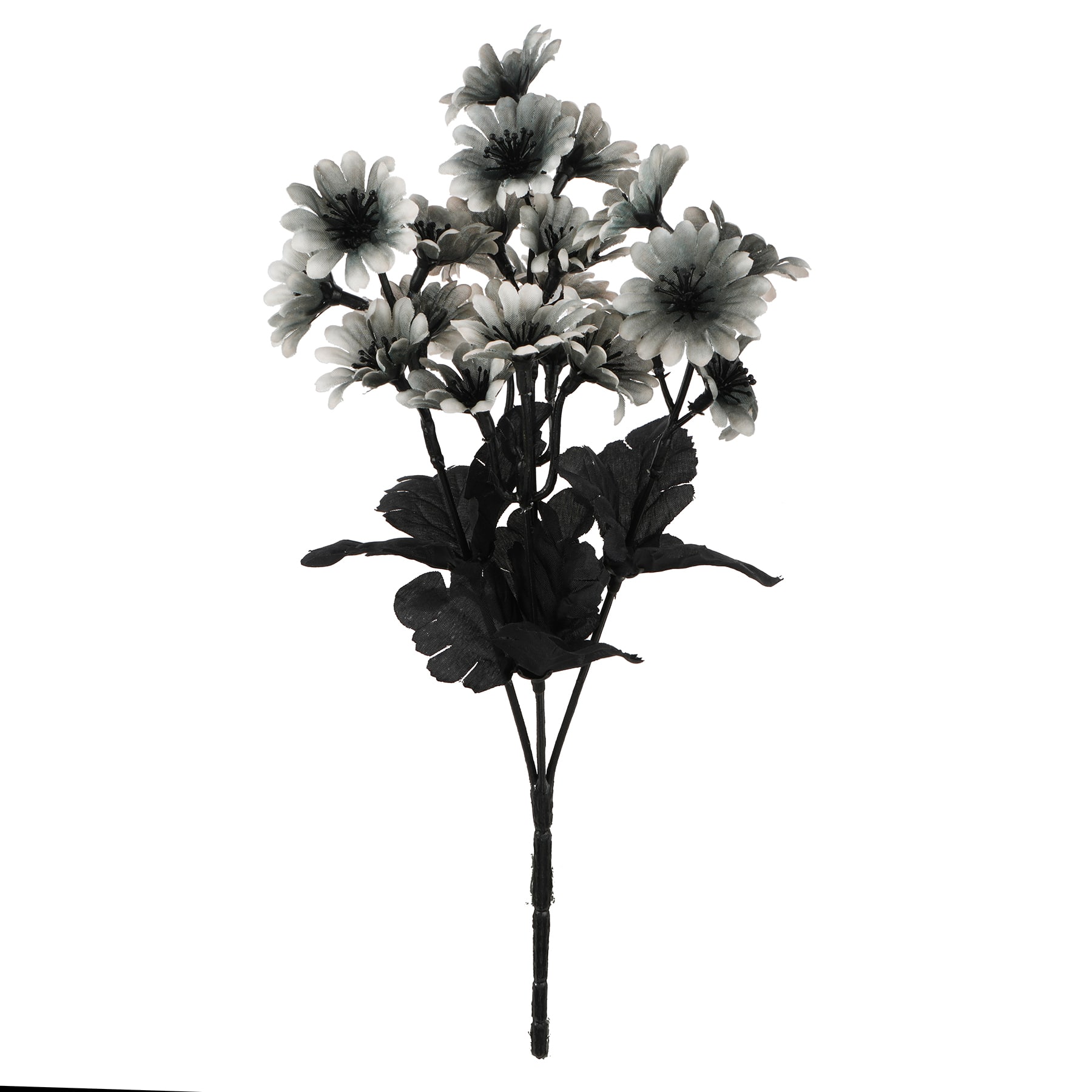 12" Black & Cream Mini Daisy Bush by Ashland®
