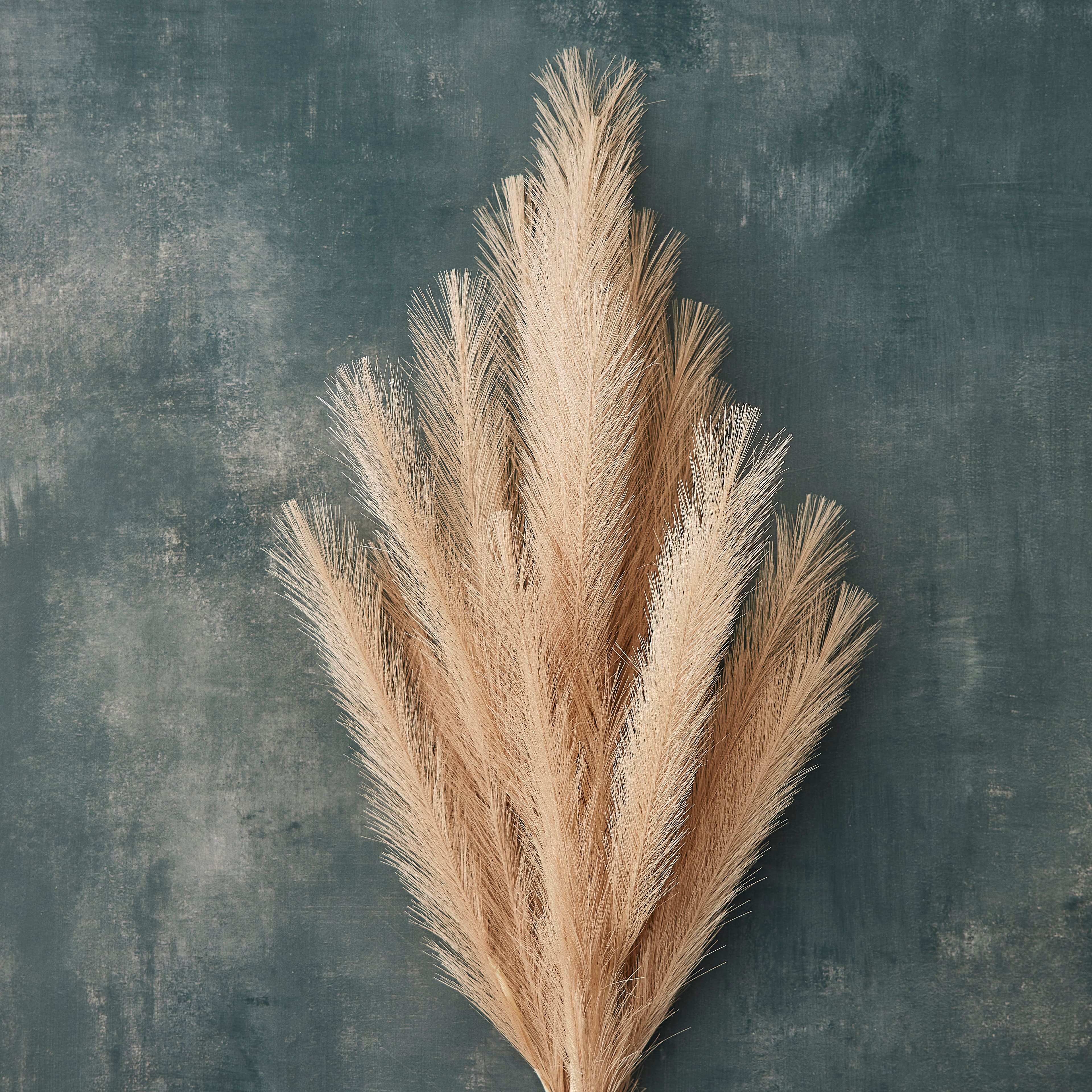 Wispy Pampas Grass Stem by Ashland®