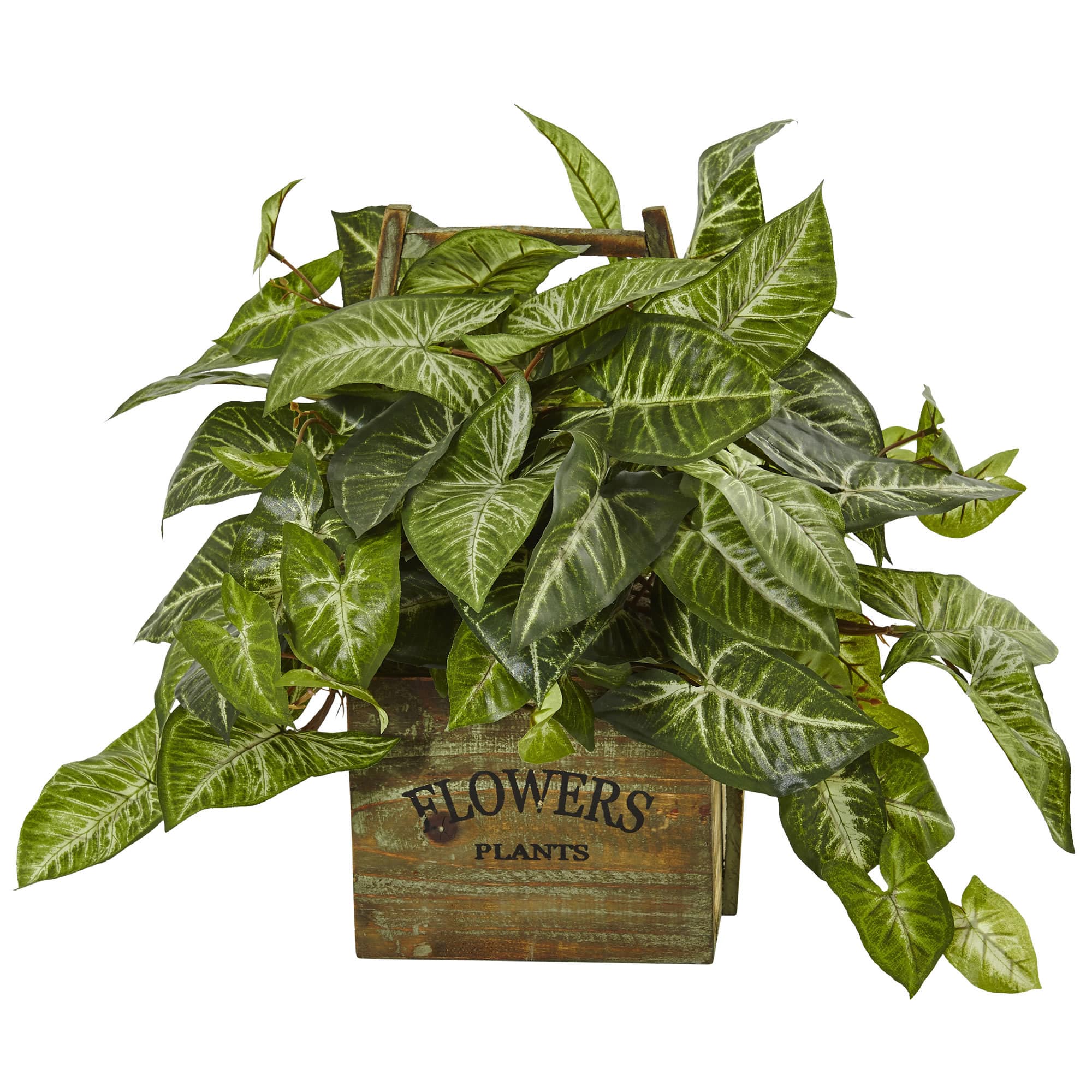 20" Nephthytis Artificial Plant in Rustic Wood Box Planter By Nearly Natural in Green | 20 in | Michaels®
