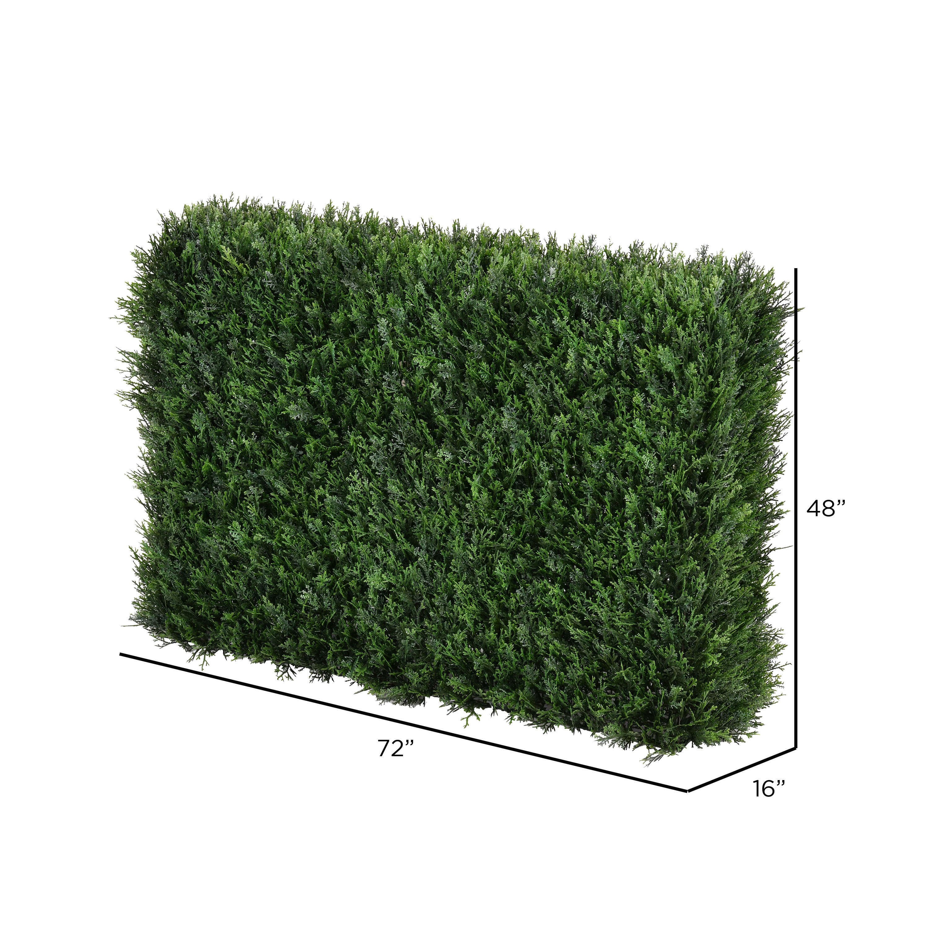 6ft. Cedar Hedge