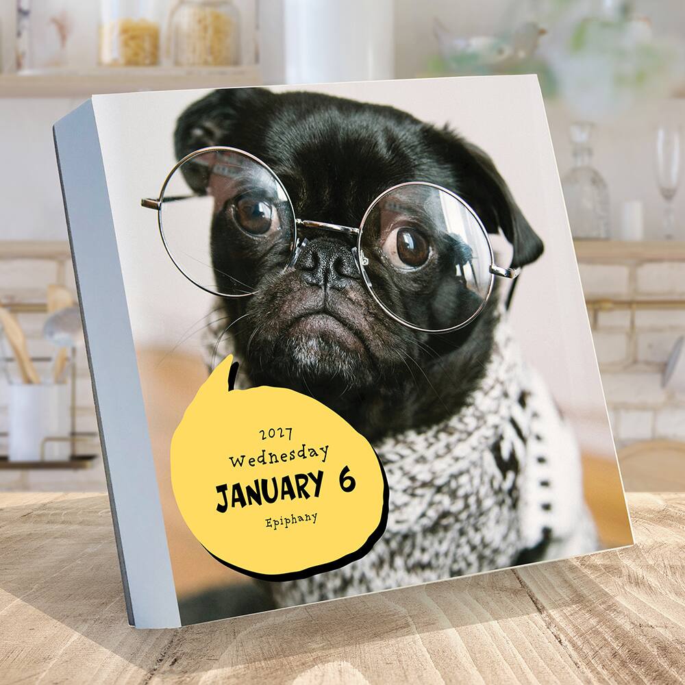 2027 Dog A Day Daily Desktop Calendar