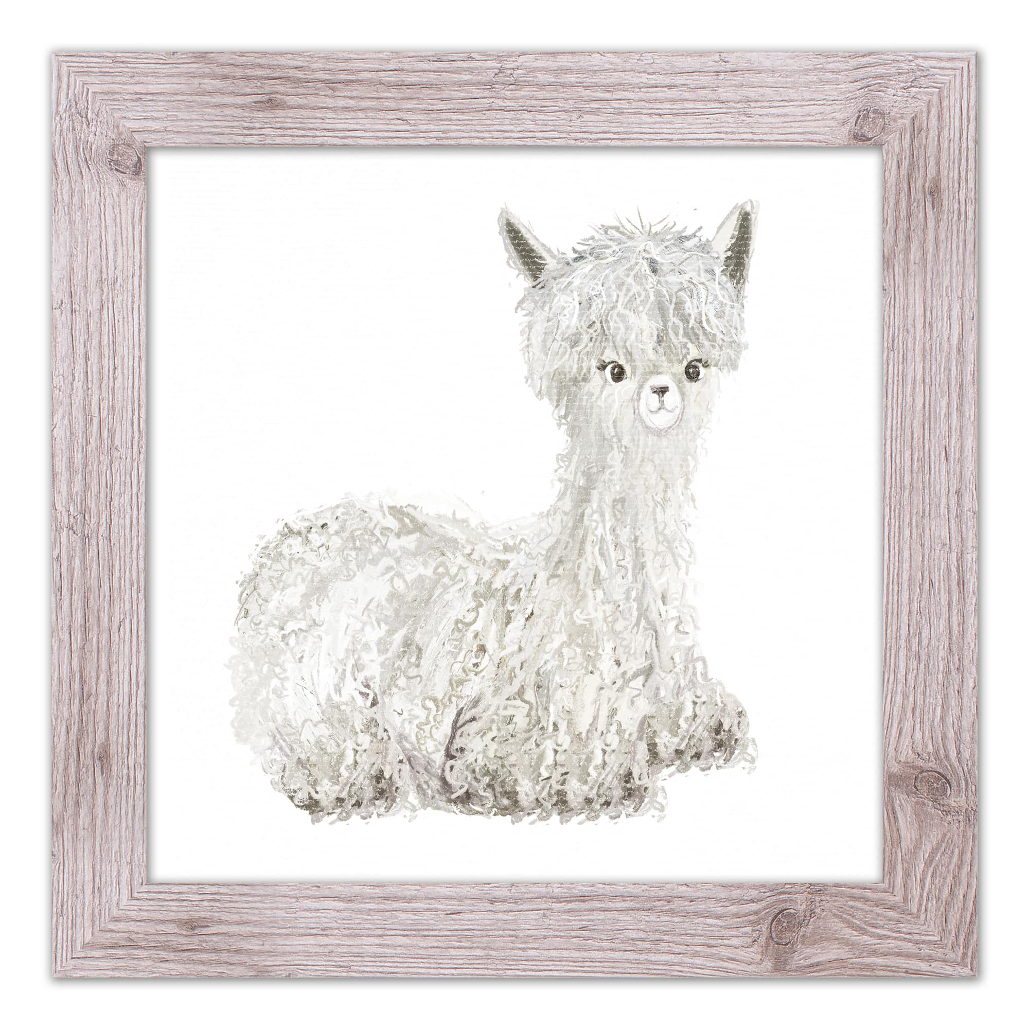 Lilly The Llama Western Framed Print