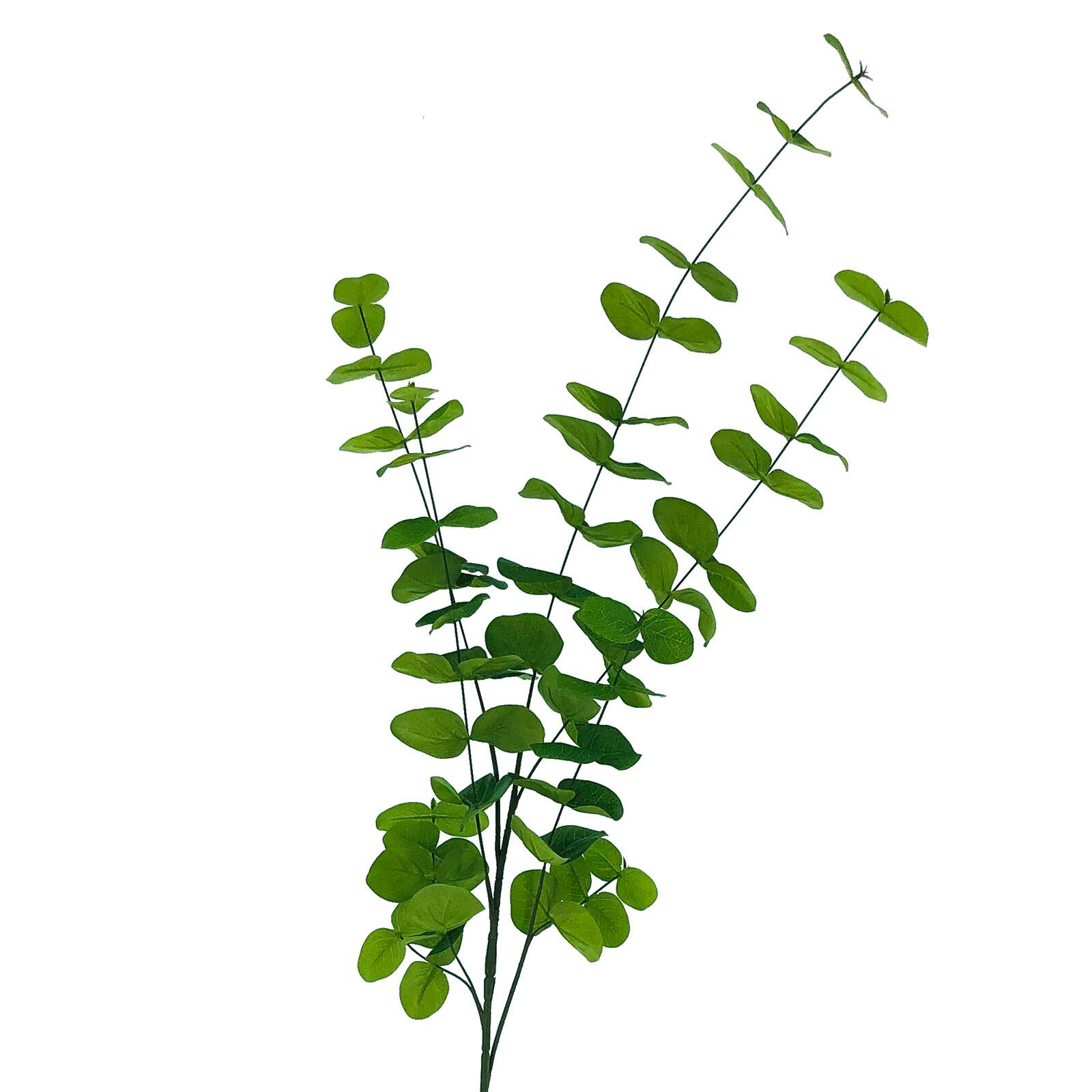 46" Eucalyptus Stem by Ashland