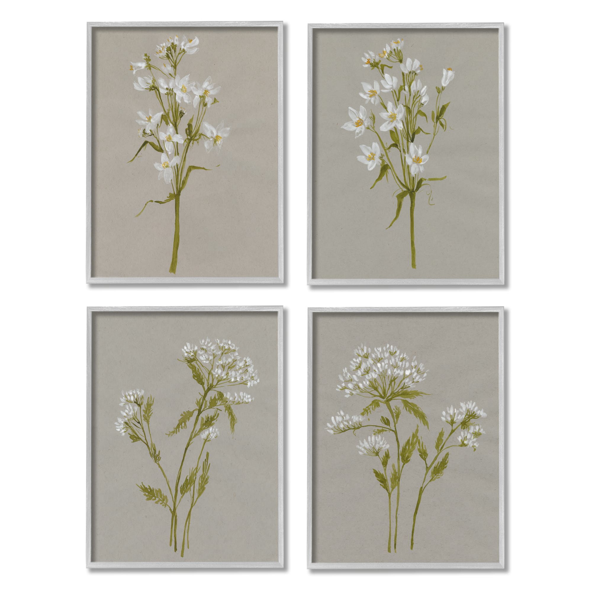 Stupell Industries Vintage White Wild Flower Study Soft Petals in Gray Frame Wall Art
