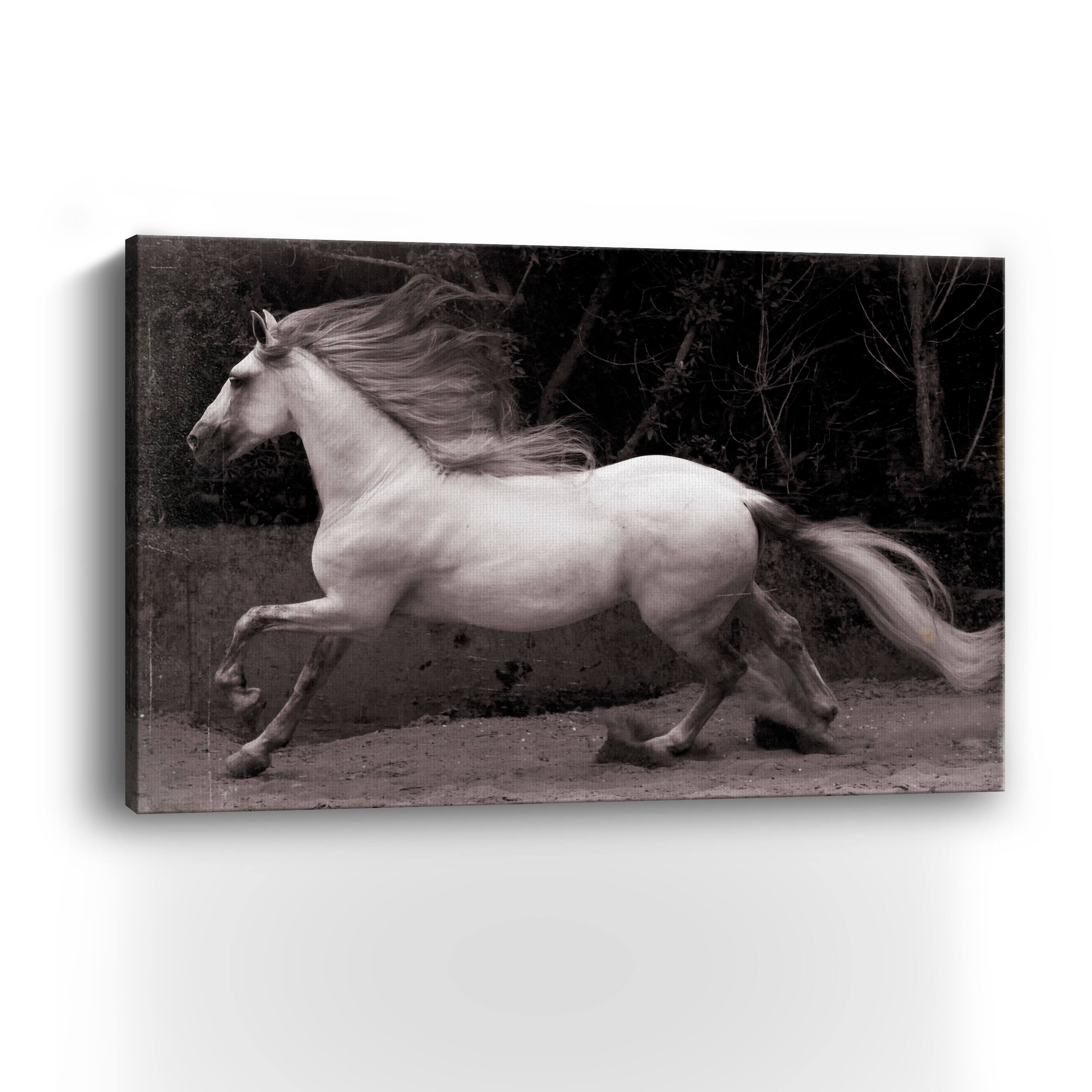 Lumaprints Forest Adventure Giclée Canvas