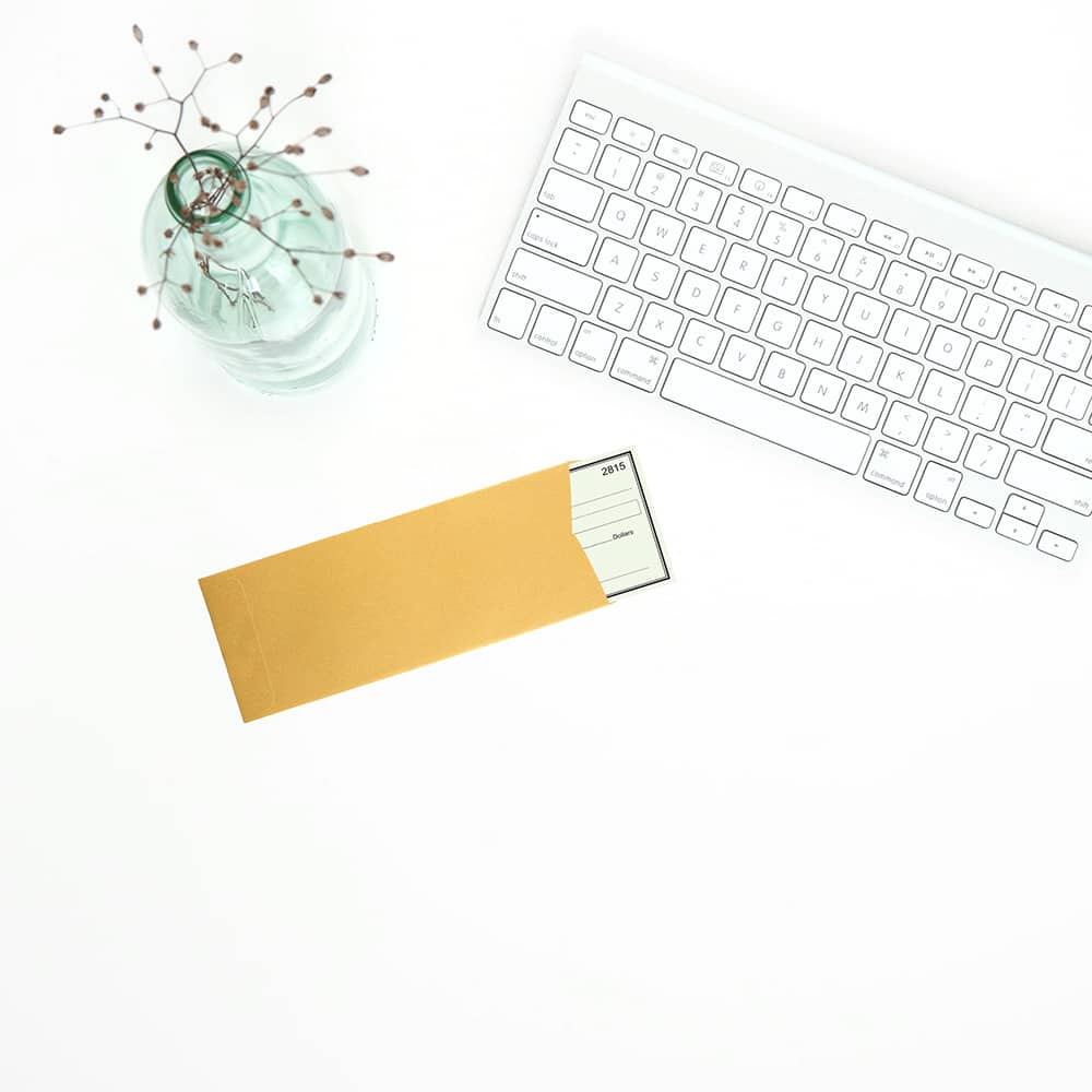 JAM Paper #10 Policy Metallic Business Envelopes