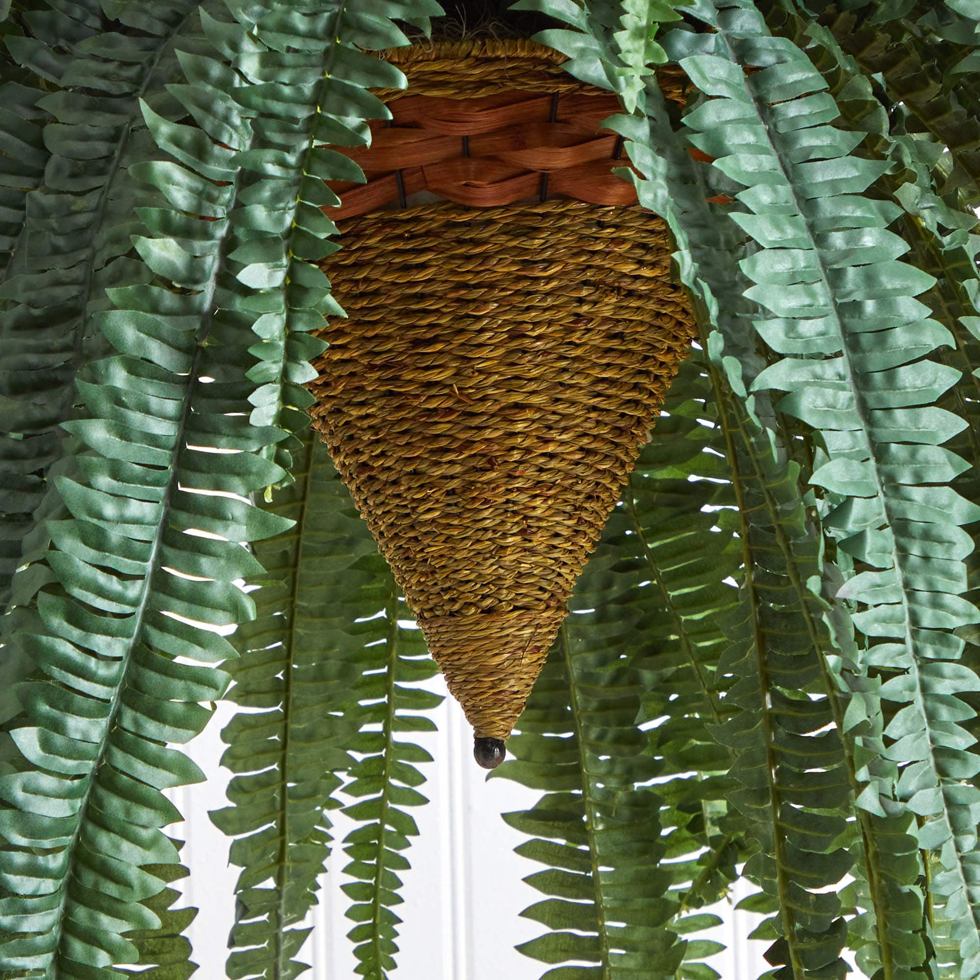 50” Giant Boston Fern in Hanging Cone Basket