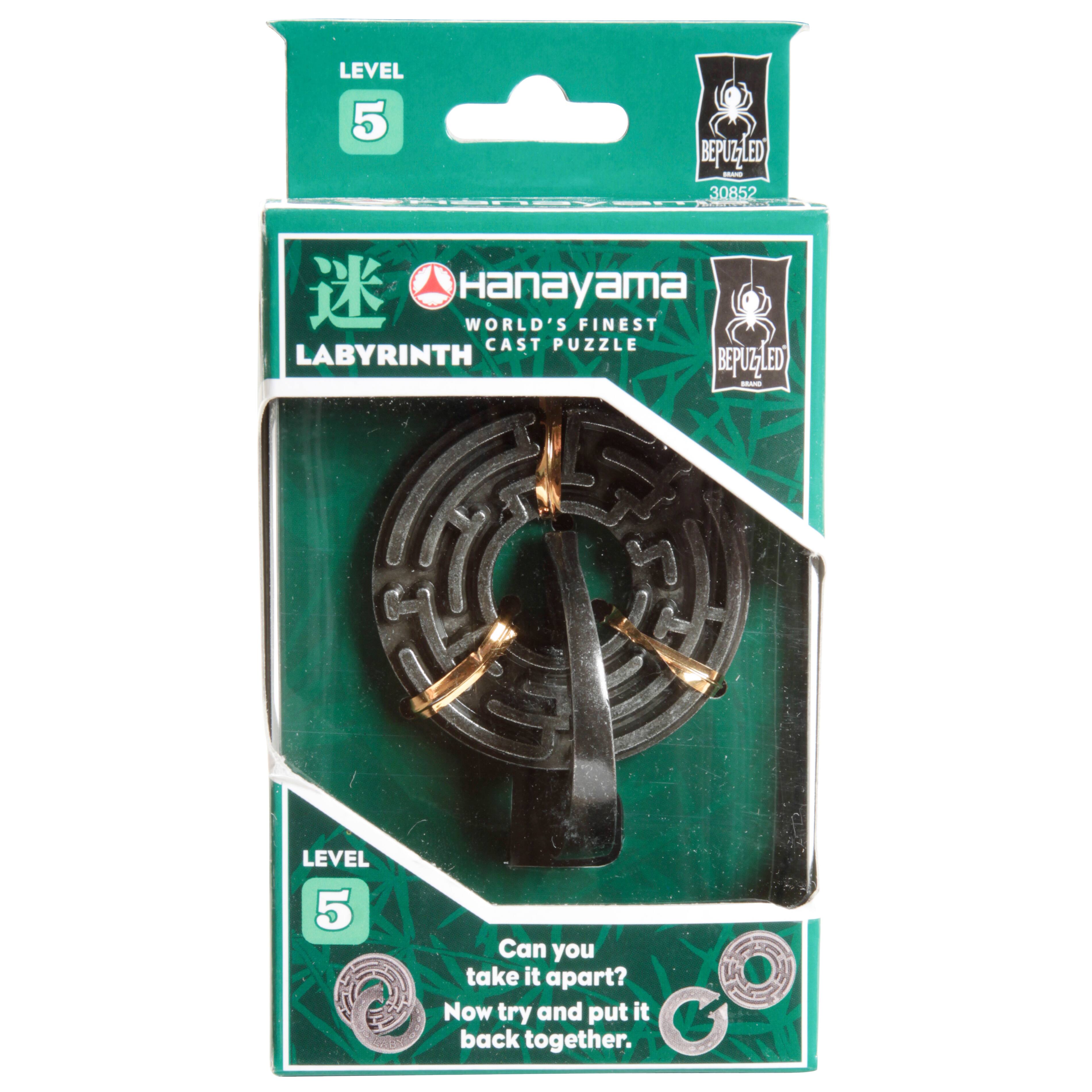 Hanayama Labyrinth Level 5 Cast Puzzle