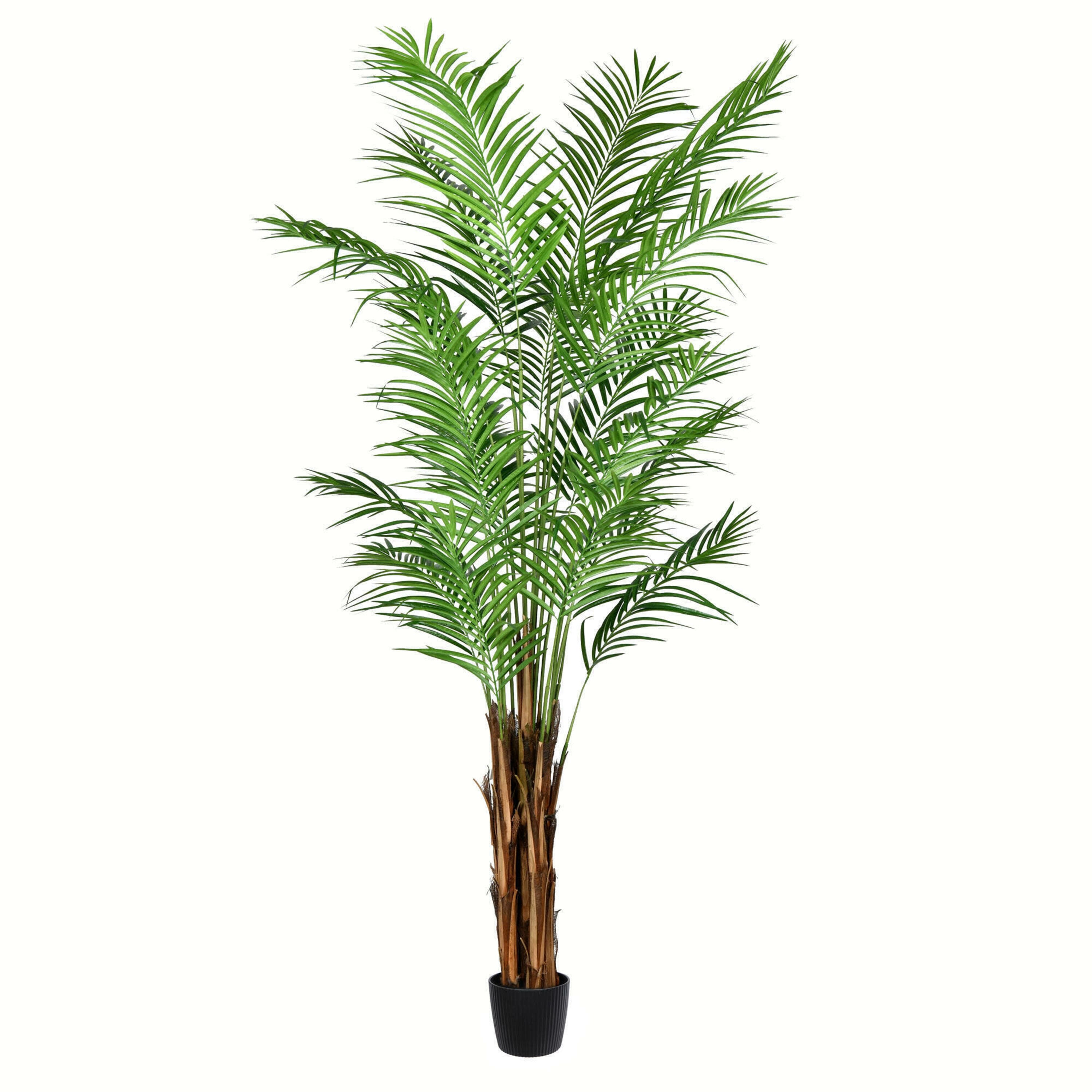 7ft. Potted Giant Areca Palm Tree