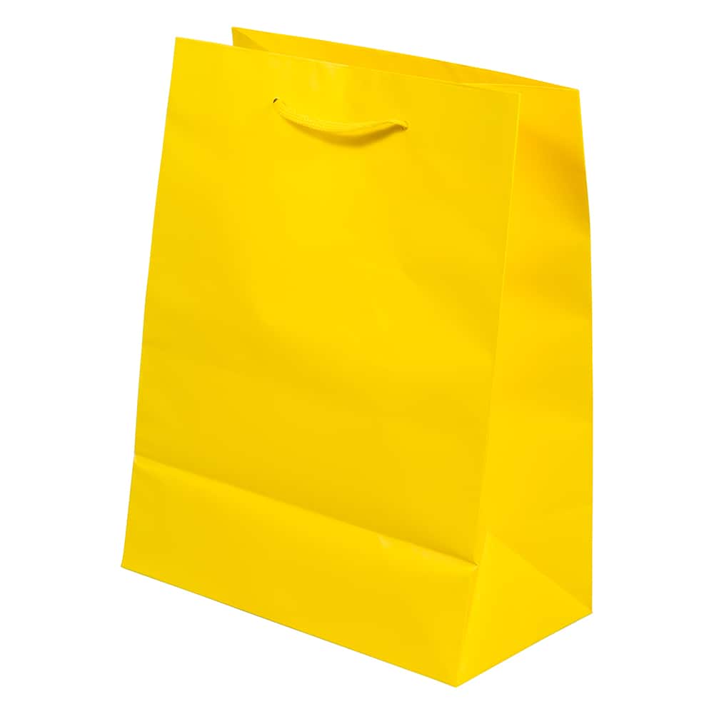 JAM Paper Medium Gift Bags with Rope Handles