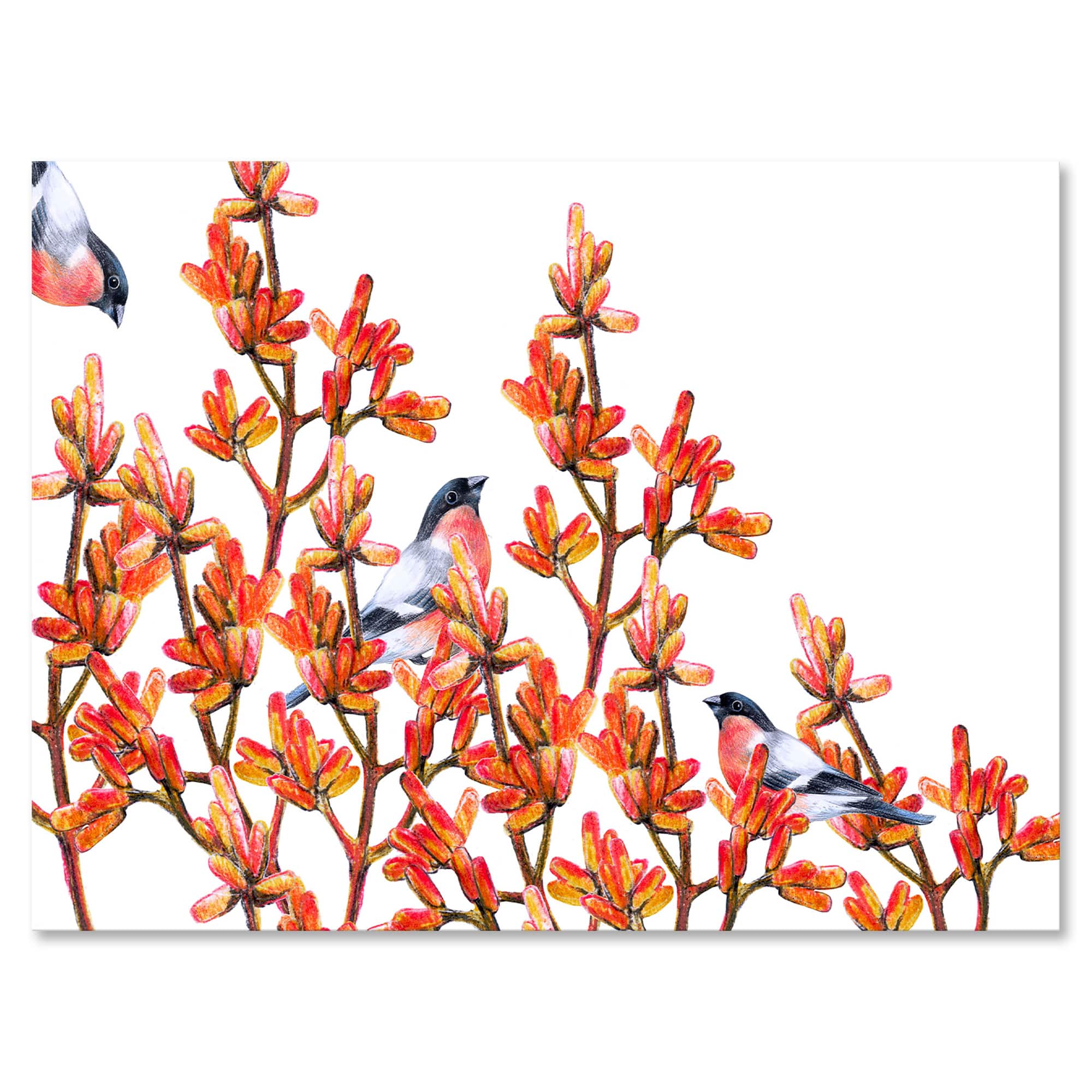 Designart - Flock of Bullfinches Birds on Orange Branches