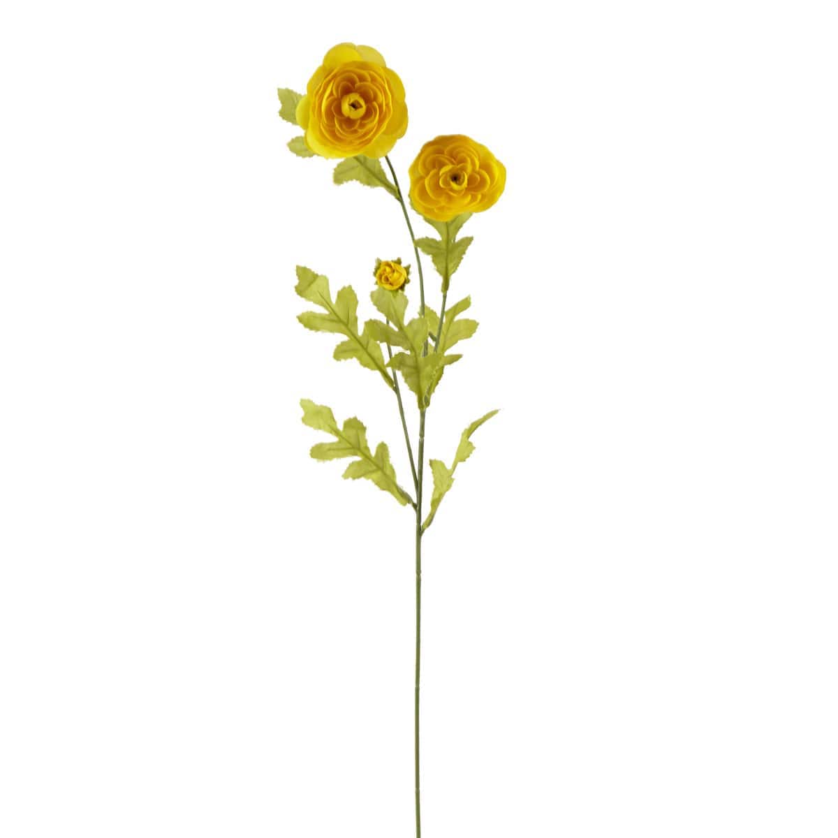 Ashland® Ranunculus Spray