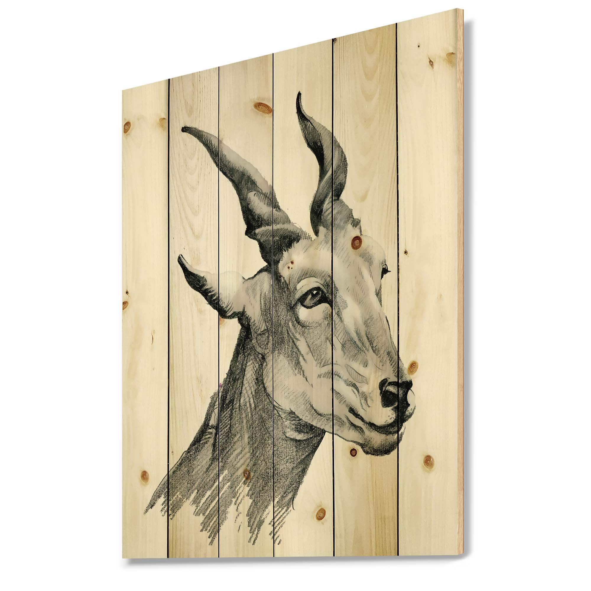 Designart - Monochrome Portrait Of Goat I - Farmhouse Print on Natural Pine Wood