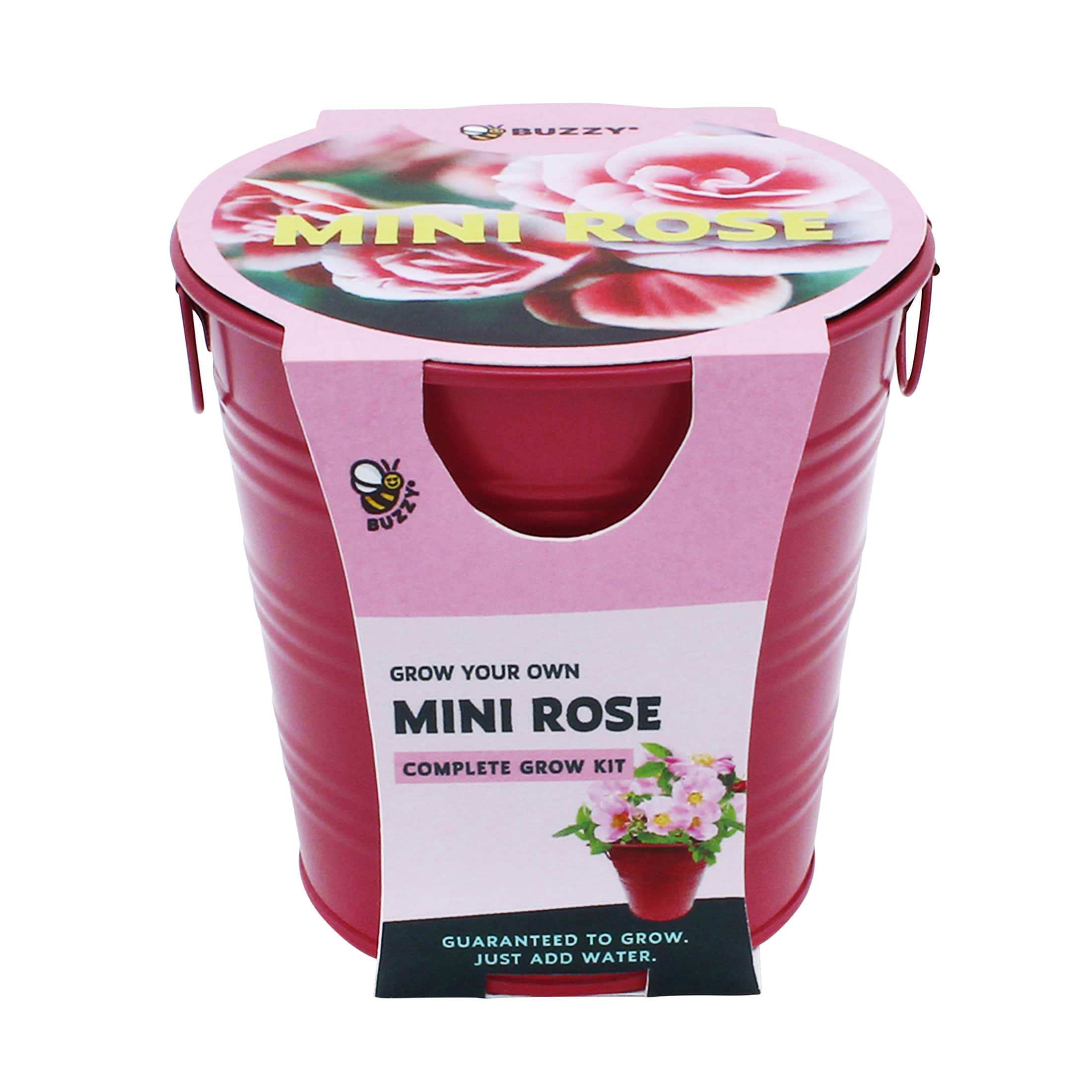 Buzzy® Mini Rose Pail Complete Grow Kit