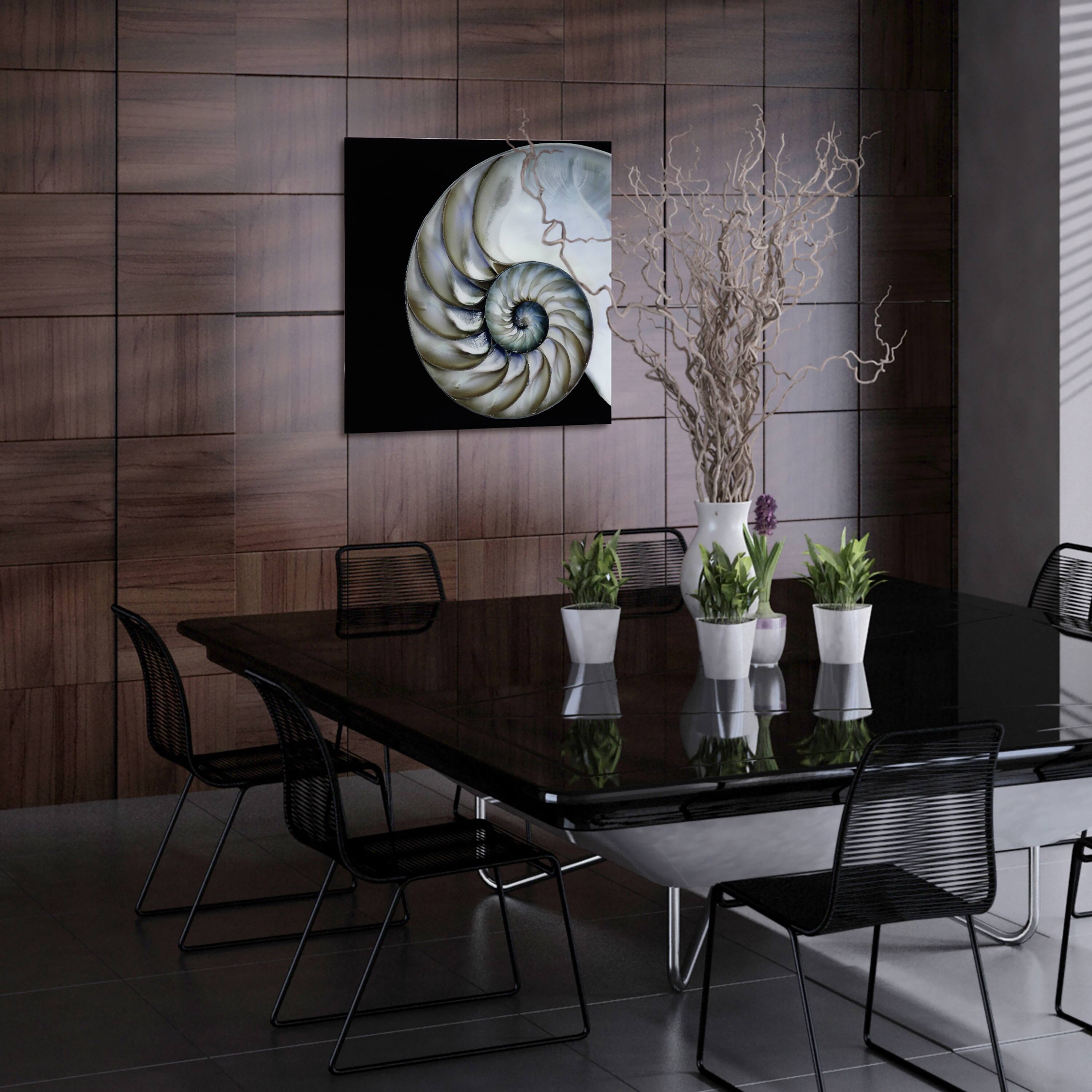 Empire Art Direct 36" x 36" Pearly Nautilus Free Floating Tempered Glass Wall Art