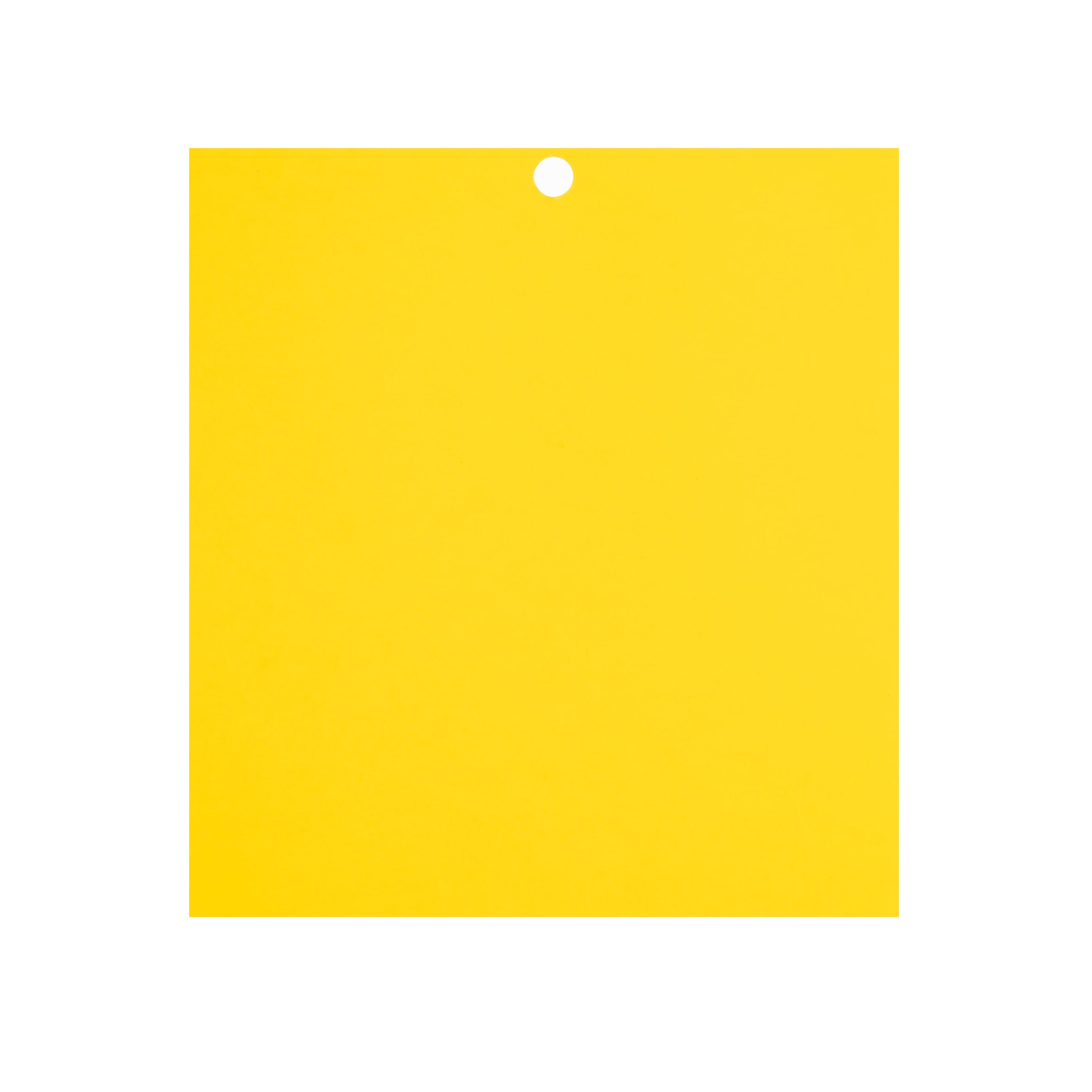 Primary 6" x 6.5" Cardstock Paper by Recollections™, 100 Sheets