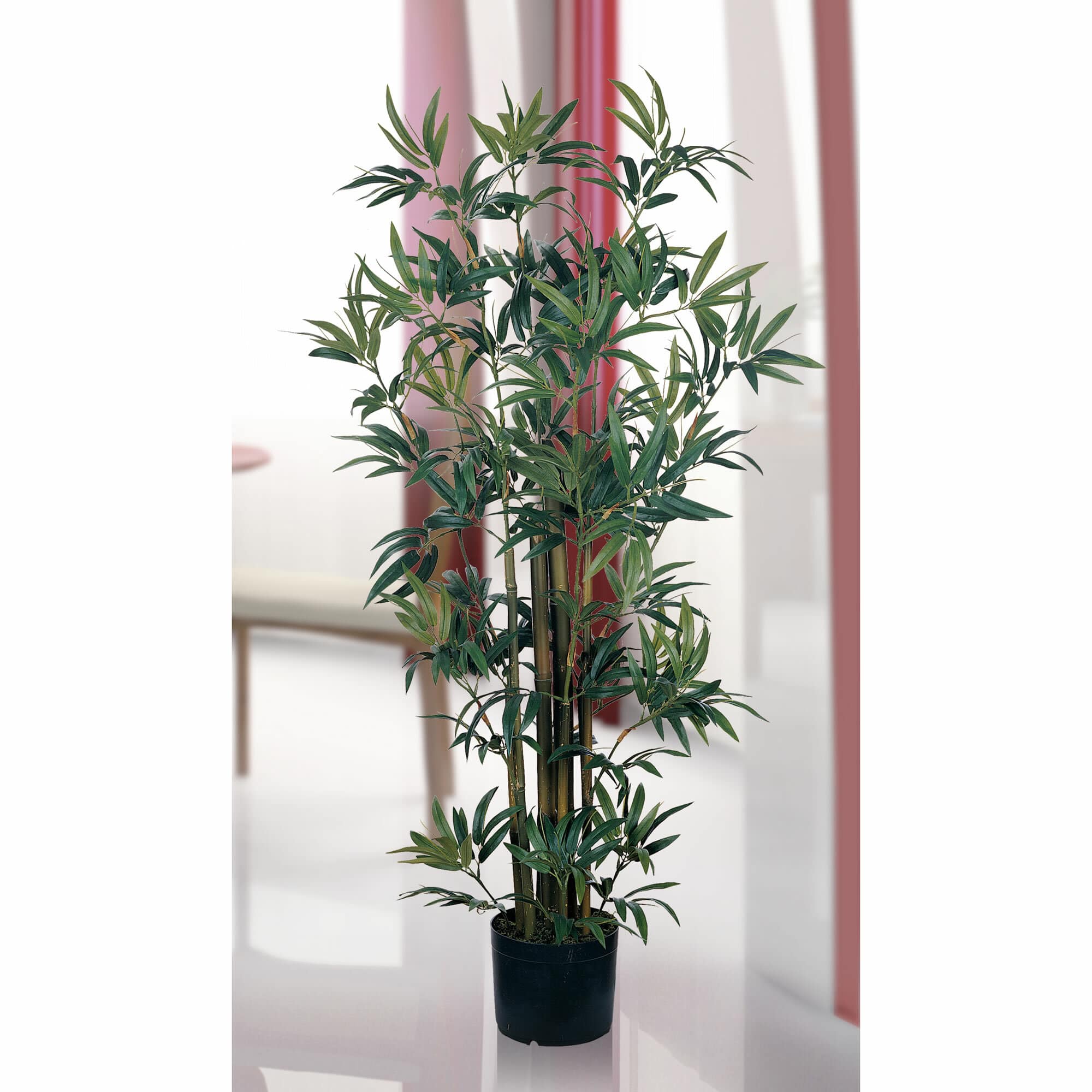 4ft. Potted Bamboo Plant