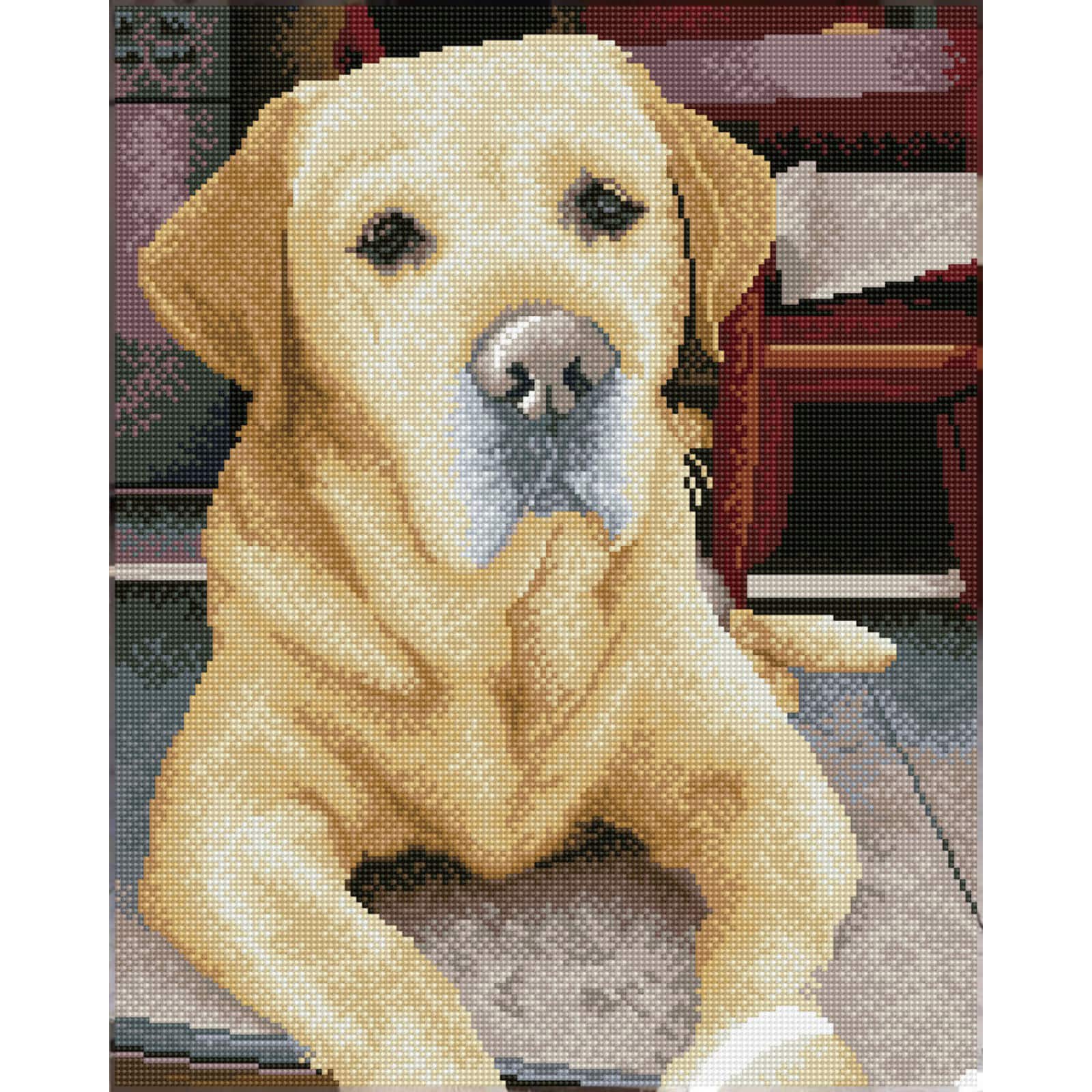Diamond Dotz® Intermediate King Diamond Painting Kit