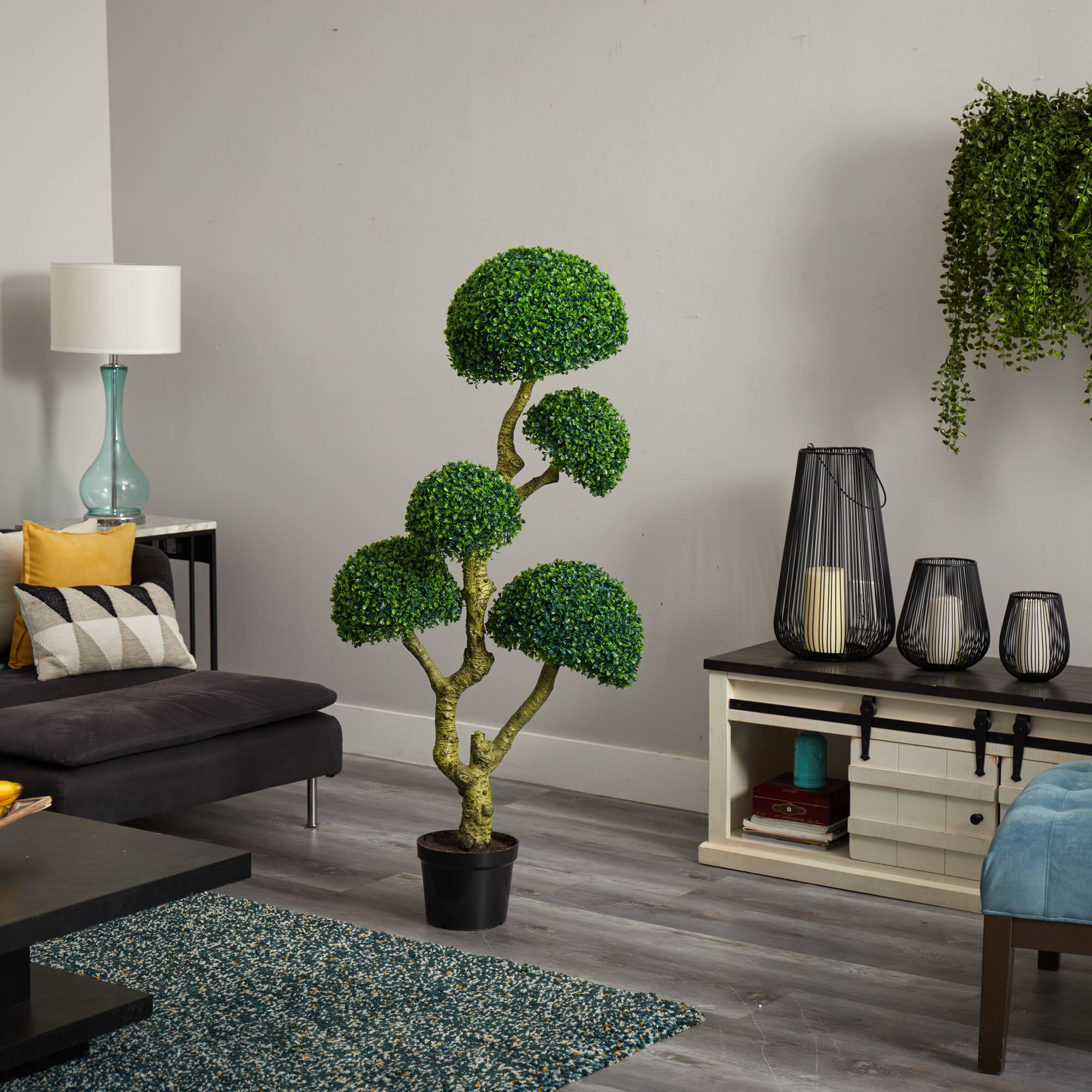 5ft. Potted Boxwood Tree