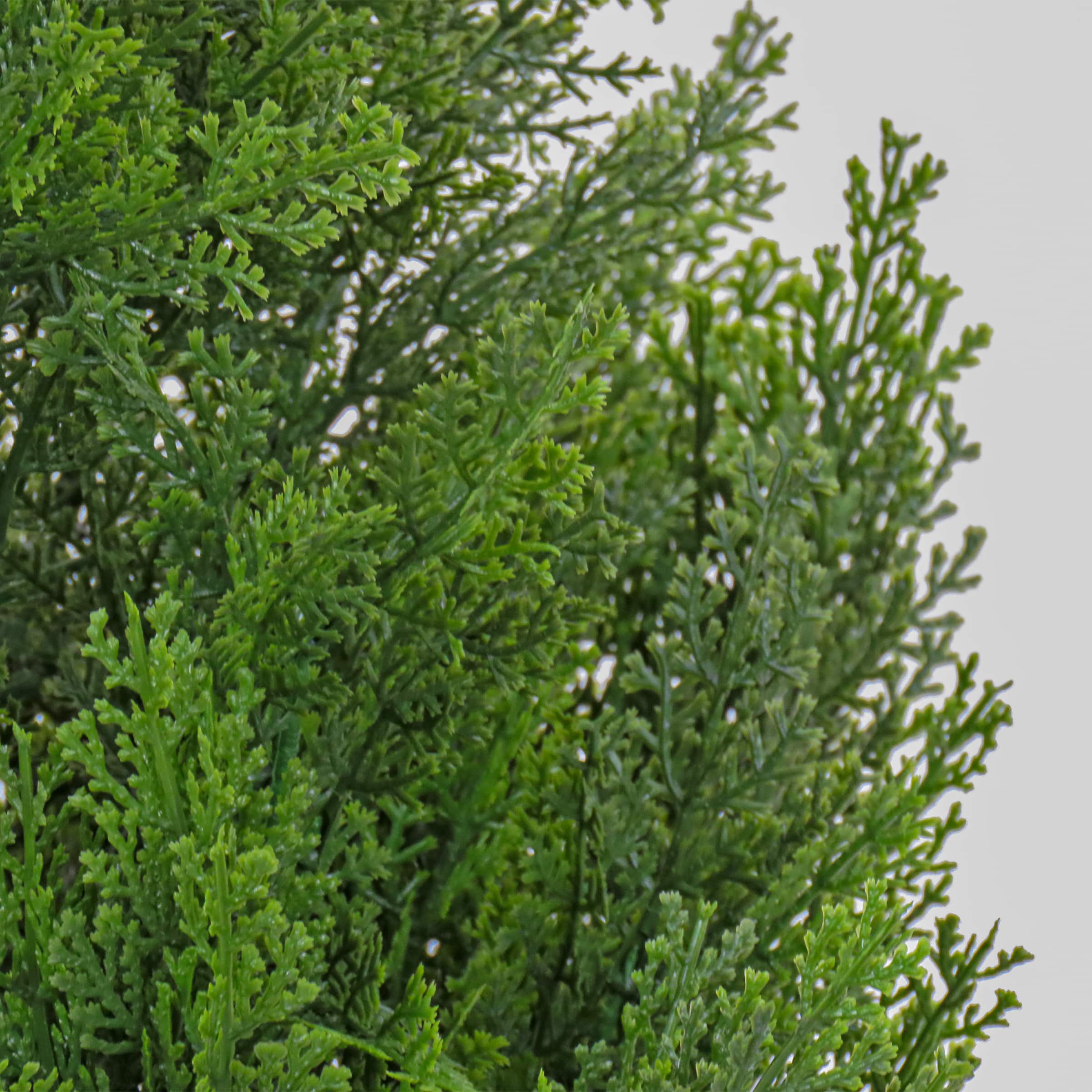50" Cedar Tree