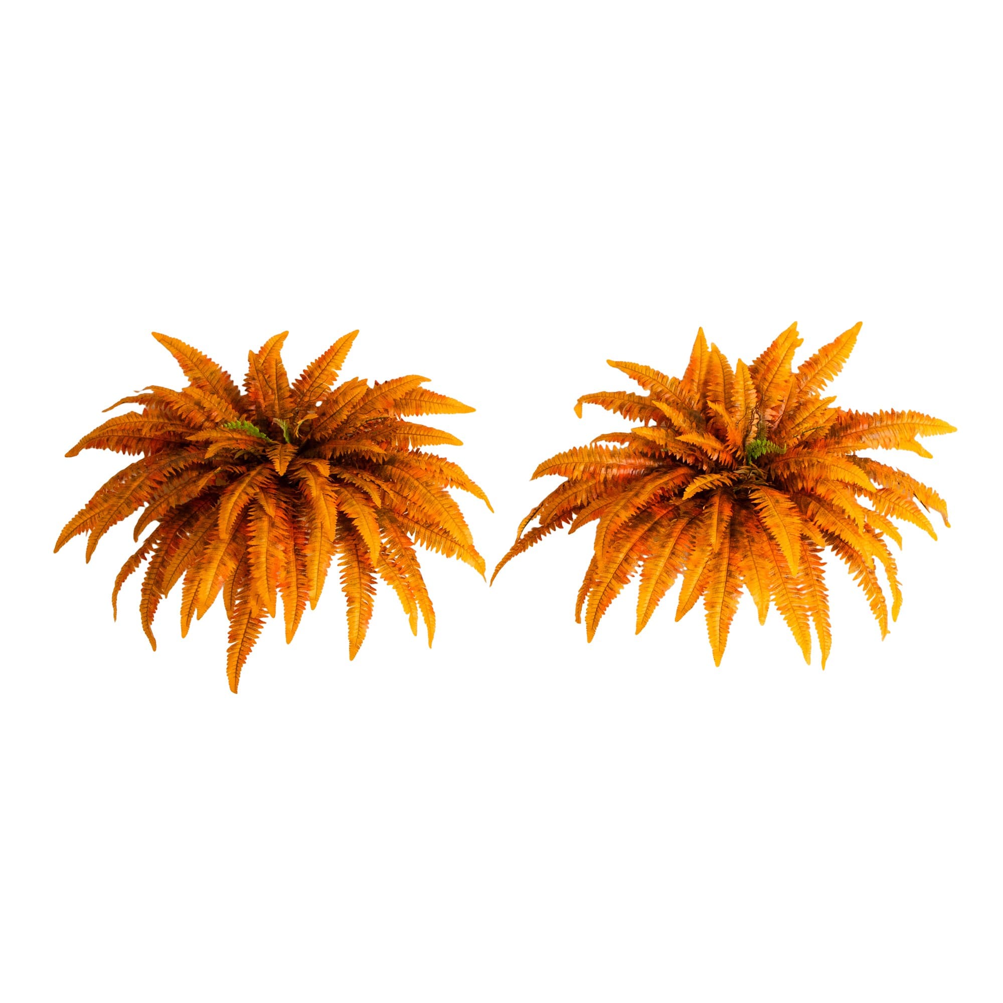 48in. Autumn Artificial Fall Boston Fern - Set of 2