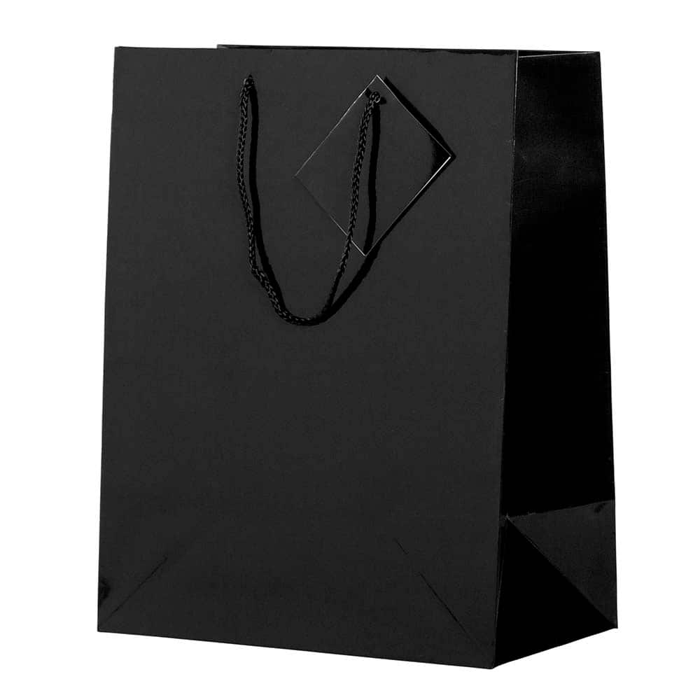 JAM Paper Large Glossy Gift Bags with Rope Handles, 3ct.