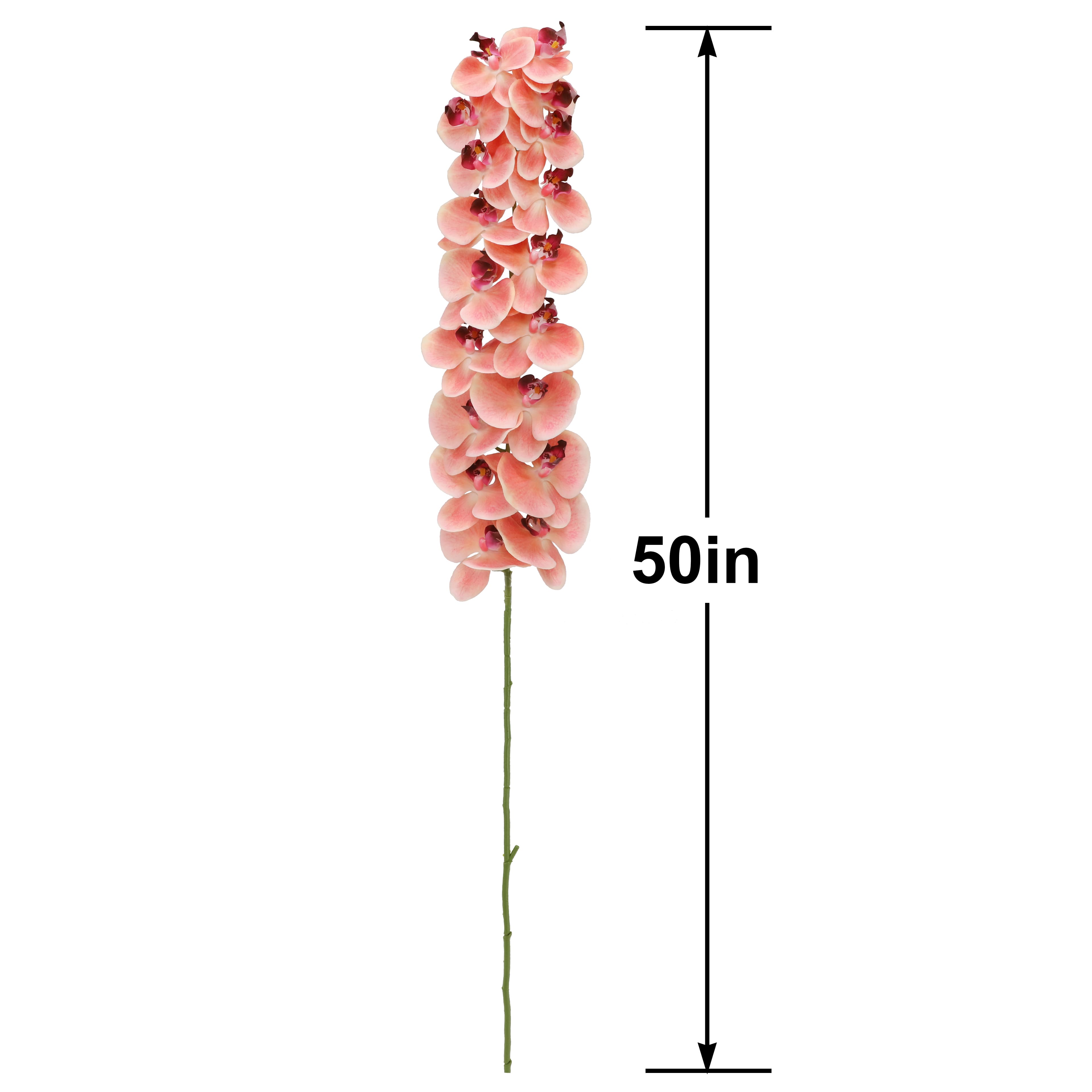 50" Orchid Oversized Stem by Ashland