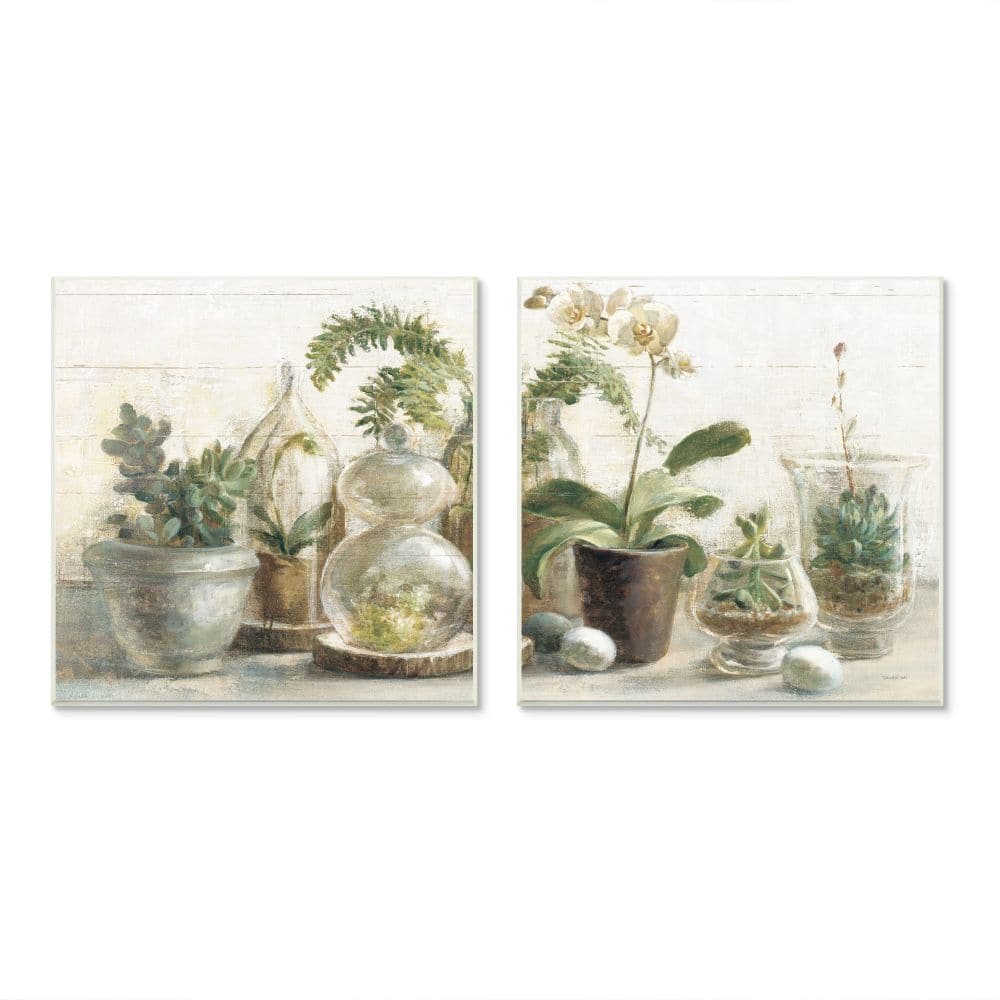 Stupell Industries Succulent House Plants Country Charm Green Brown,12" x 12"