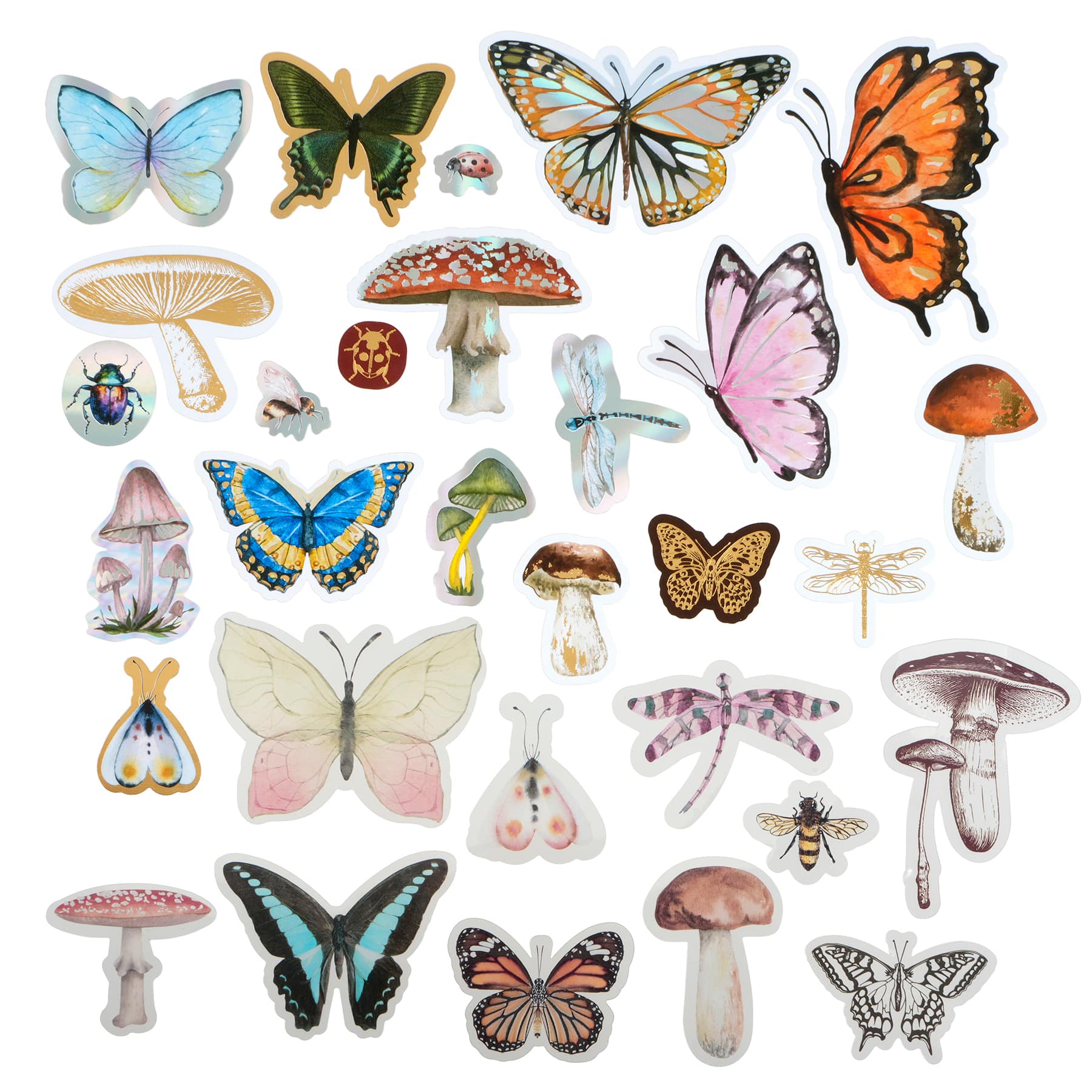 12 Pack: Nature Ephemera by Recollections™