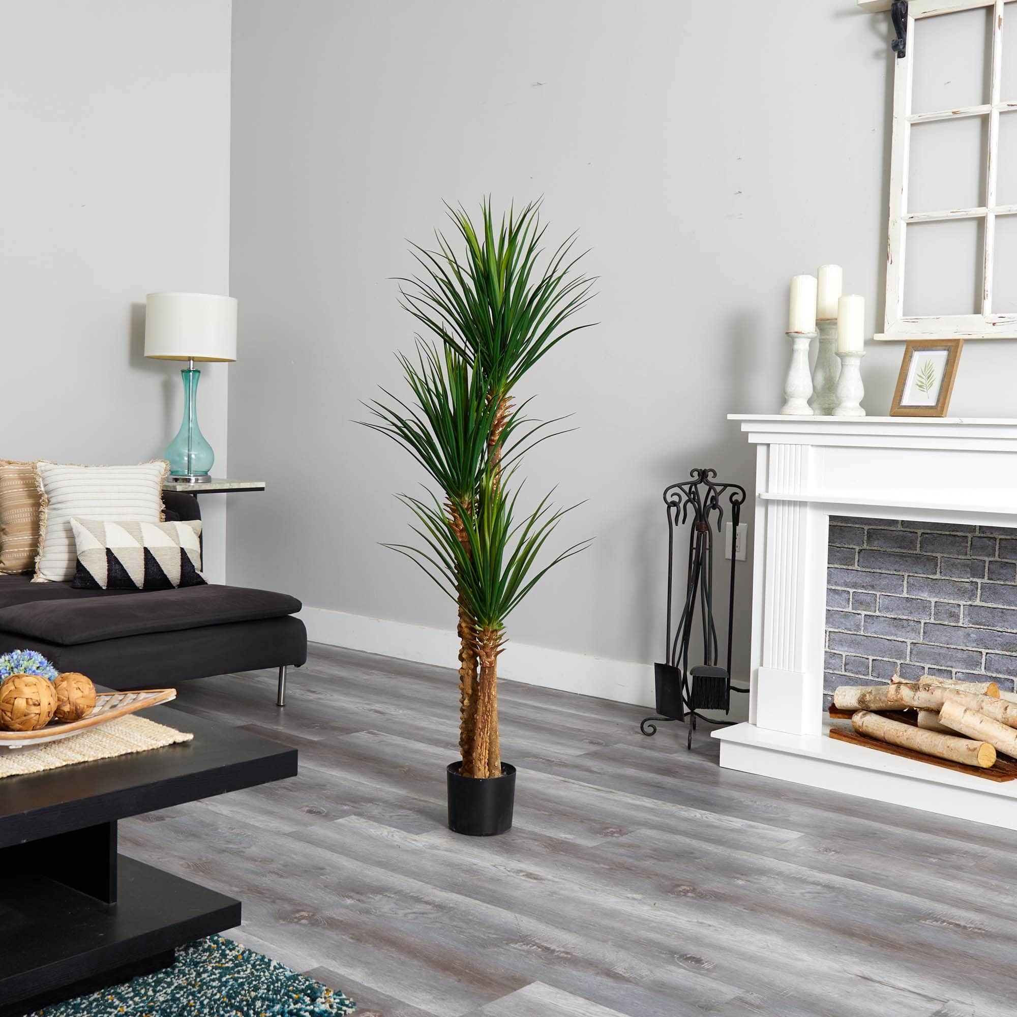 5ft. Potted Yucca Tree