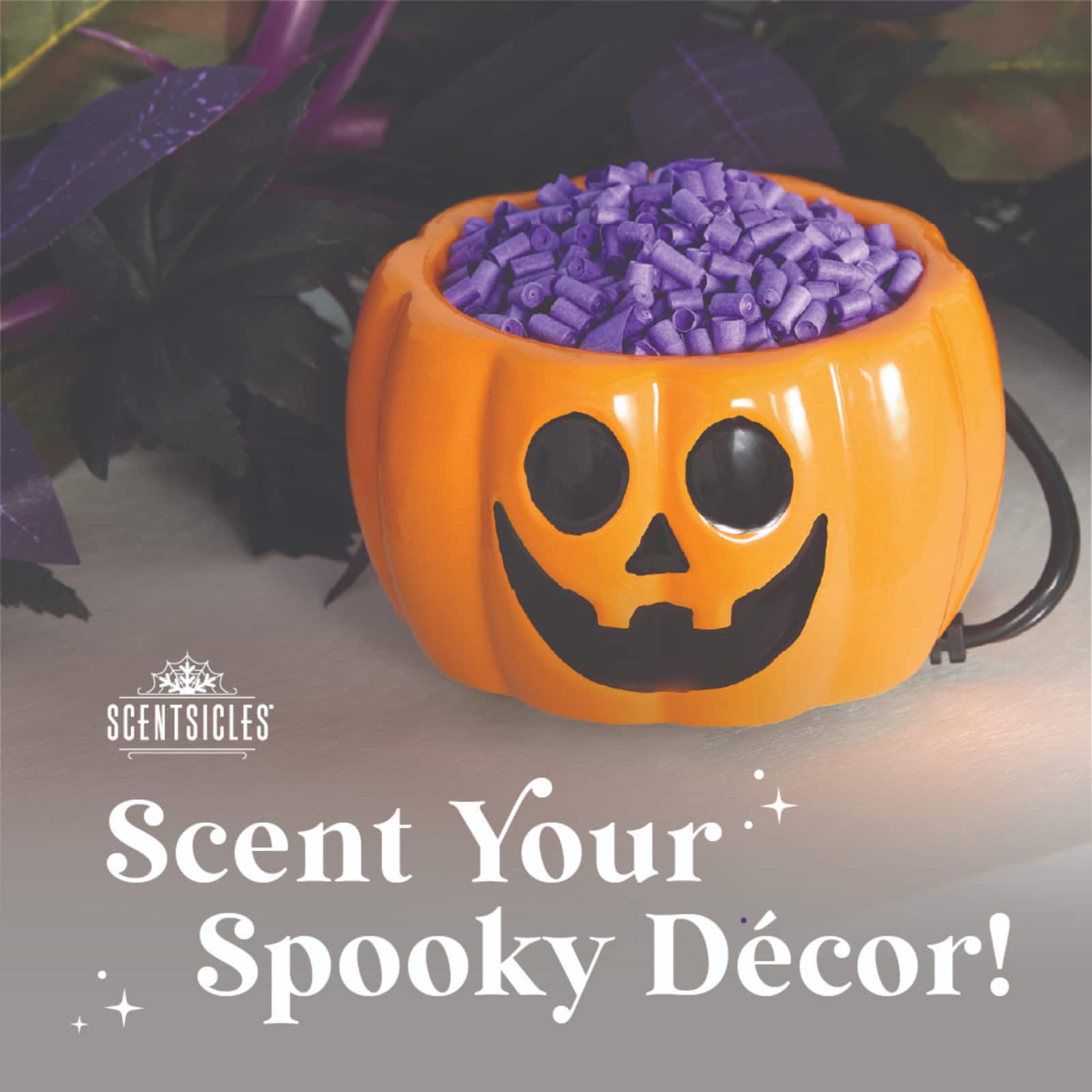 Scentiscles Pumpkin Warmer, Scentfetti Witch's Berry Brew & Pumpkin 'n Cider, 3 pack