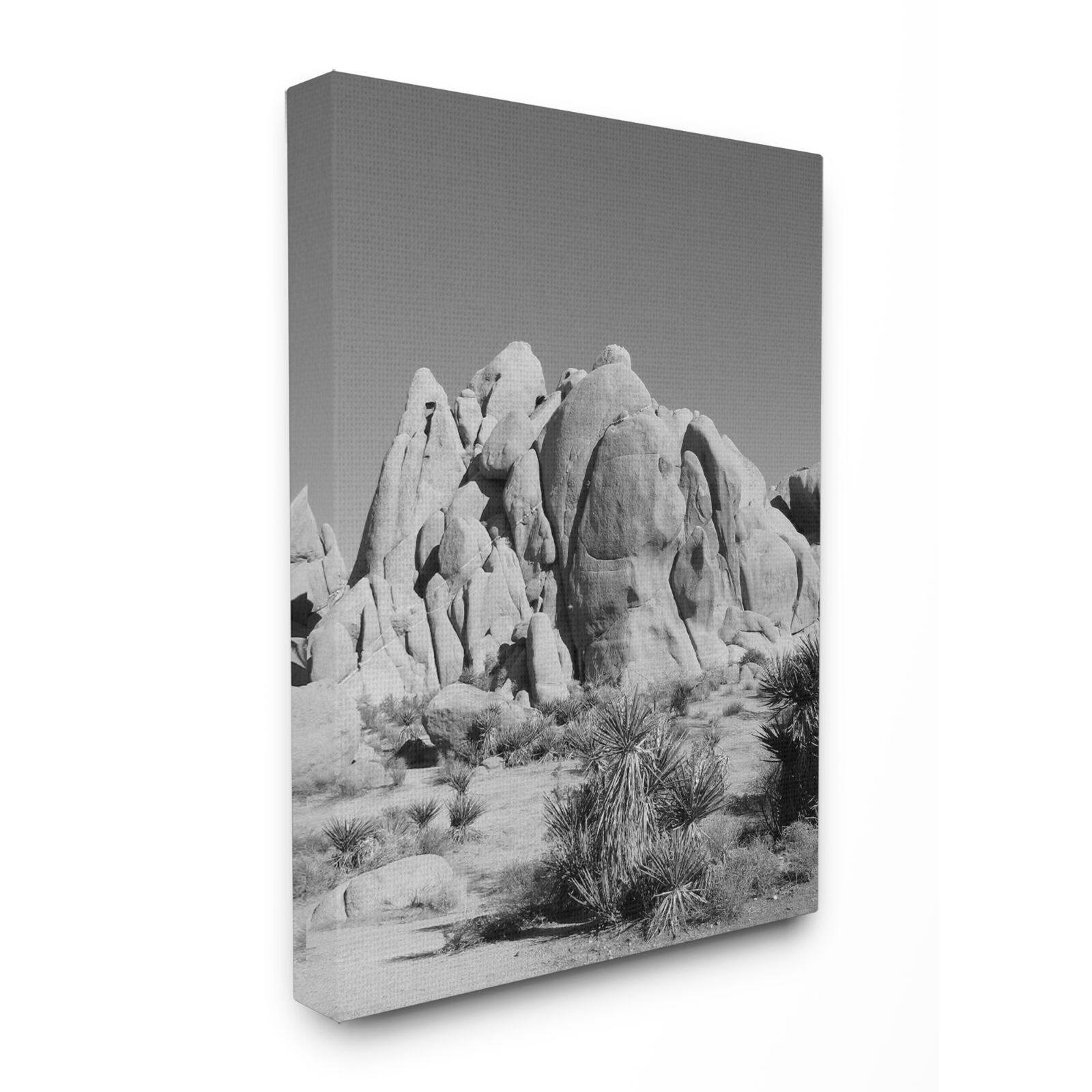 Stupell Industries Desert Landscape Photograph Canvas Wall Art