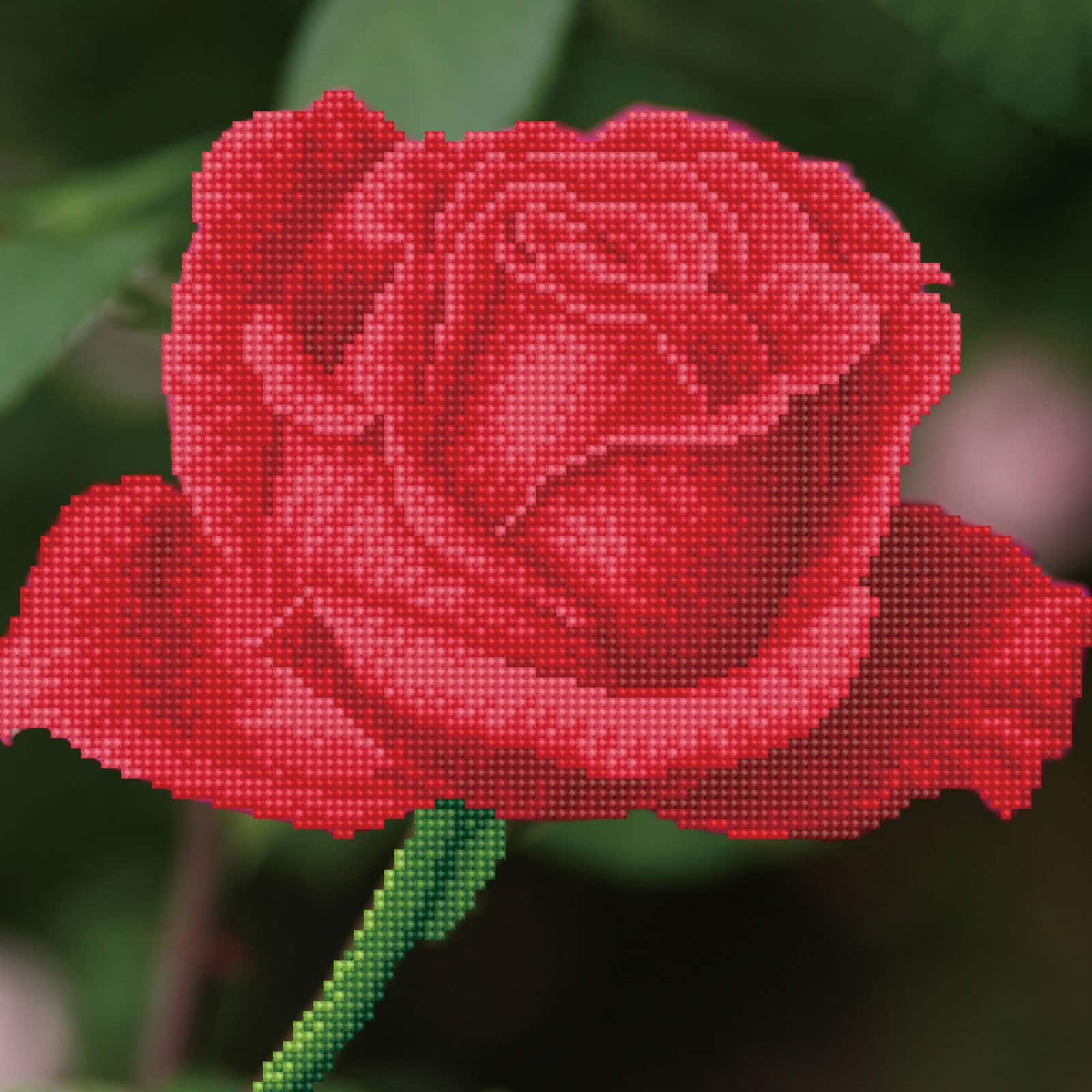 Diamond Dotz® Intermediate Rose Bud with Frame Diamond Painting Kit