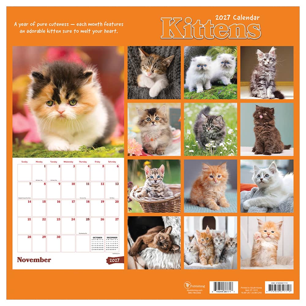 2027 Kittens Wall Calendar